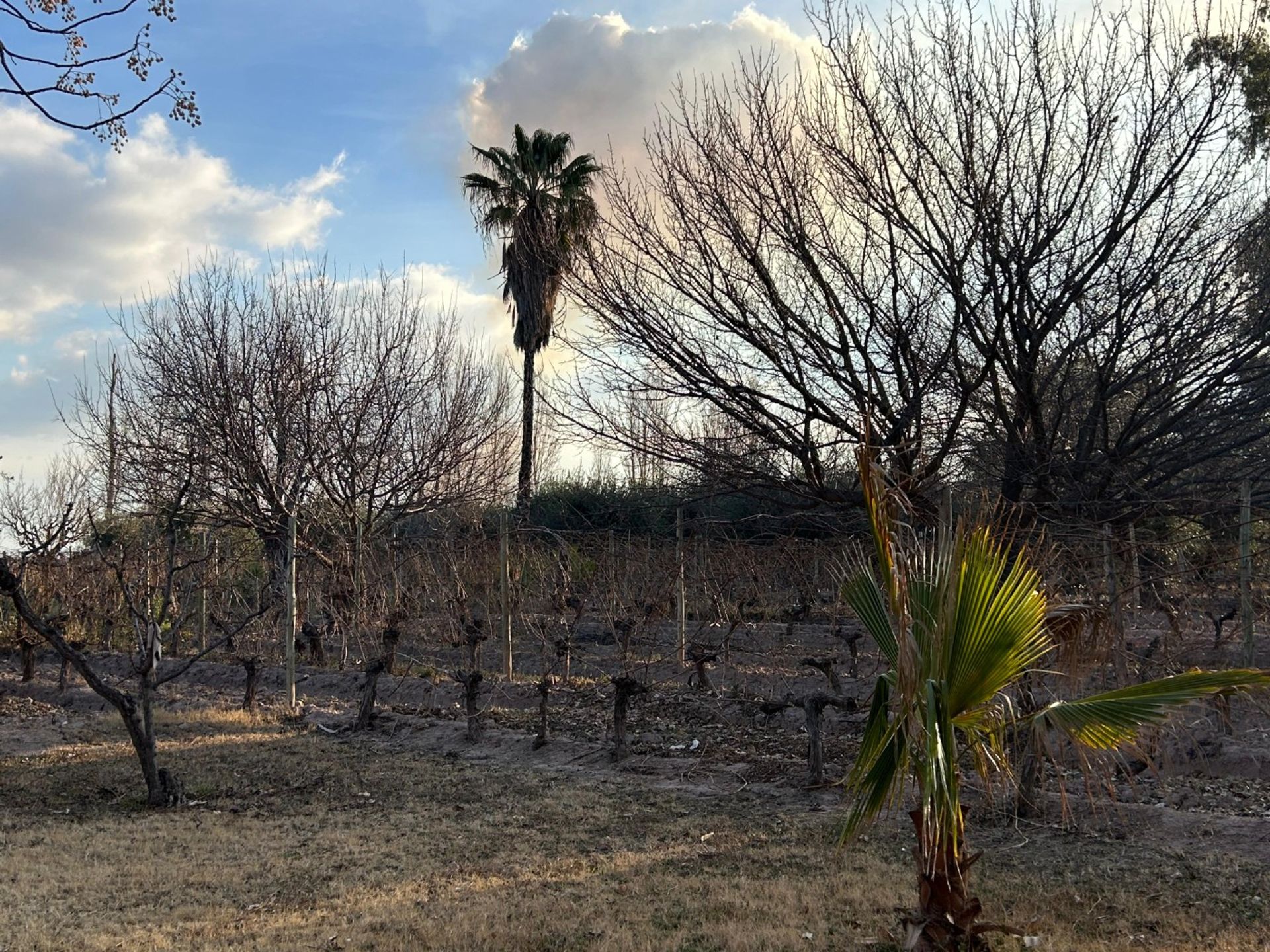 Casa Quinta en Venta en Maipu, Mendoza