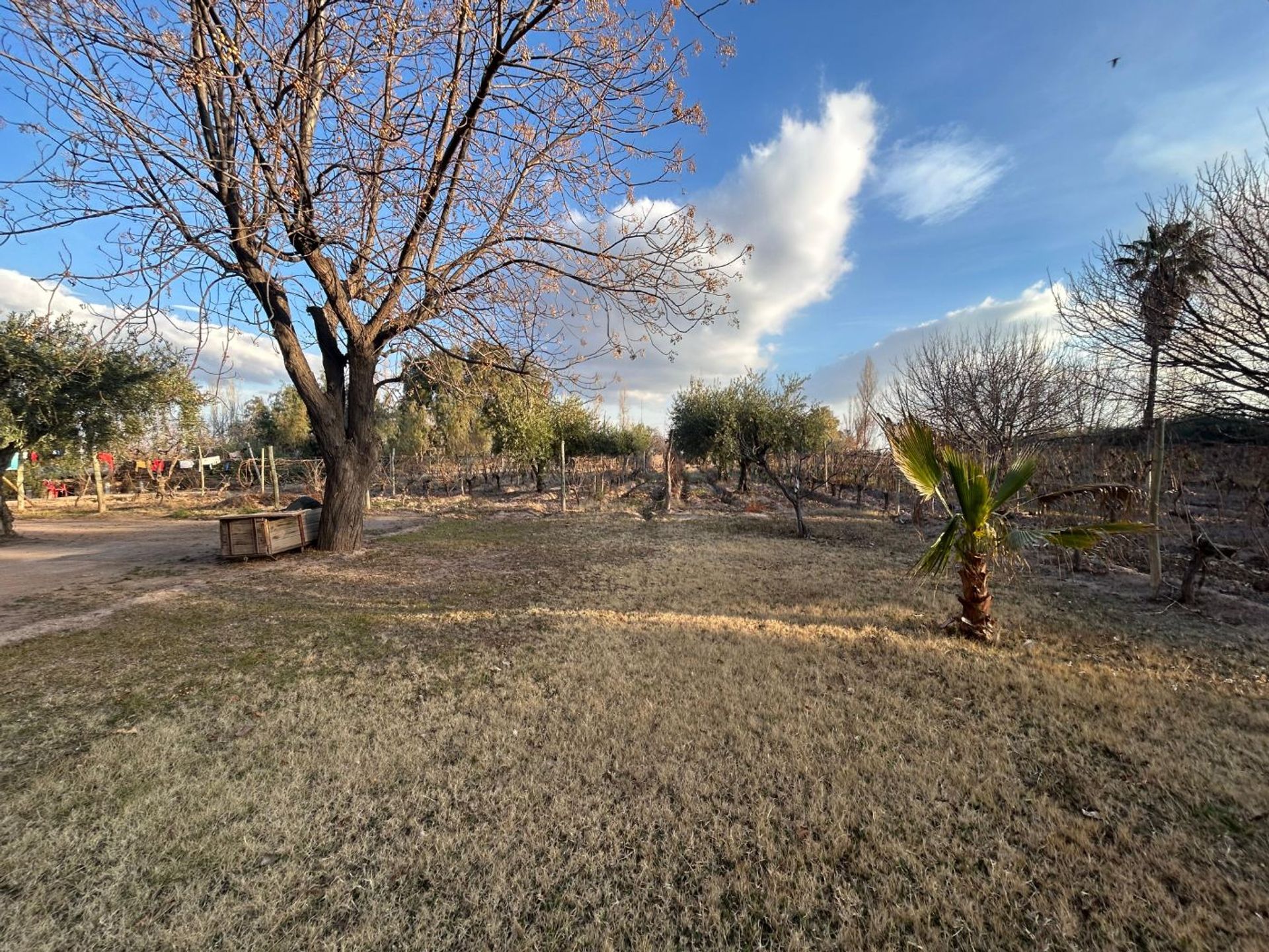 Casa Quinta en Venta en Maipu, Mendoza