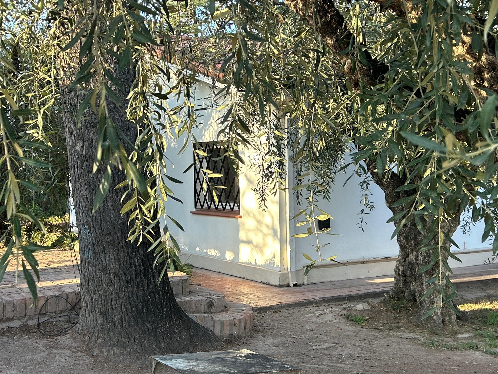 Casa Quinta en Venta en Maipu, Mendoza