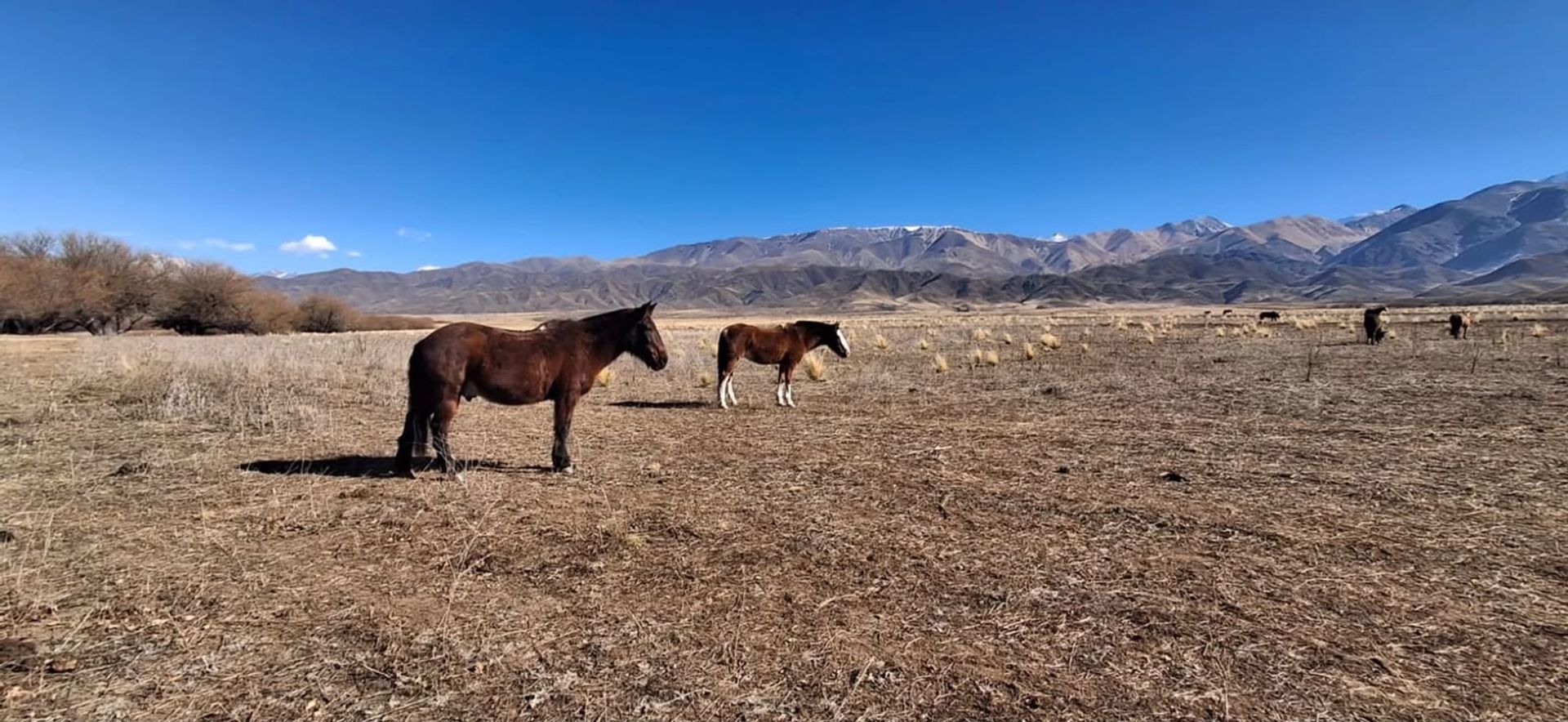 Lote en Venta en Tupungato, Mendoza