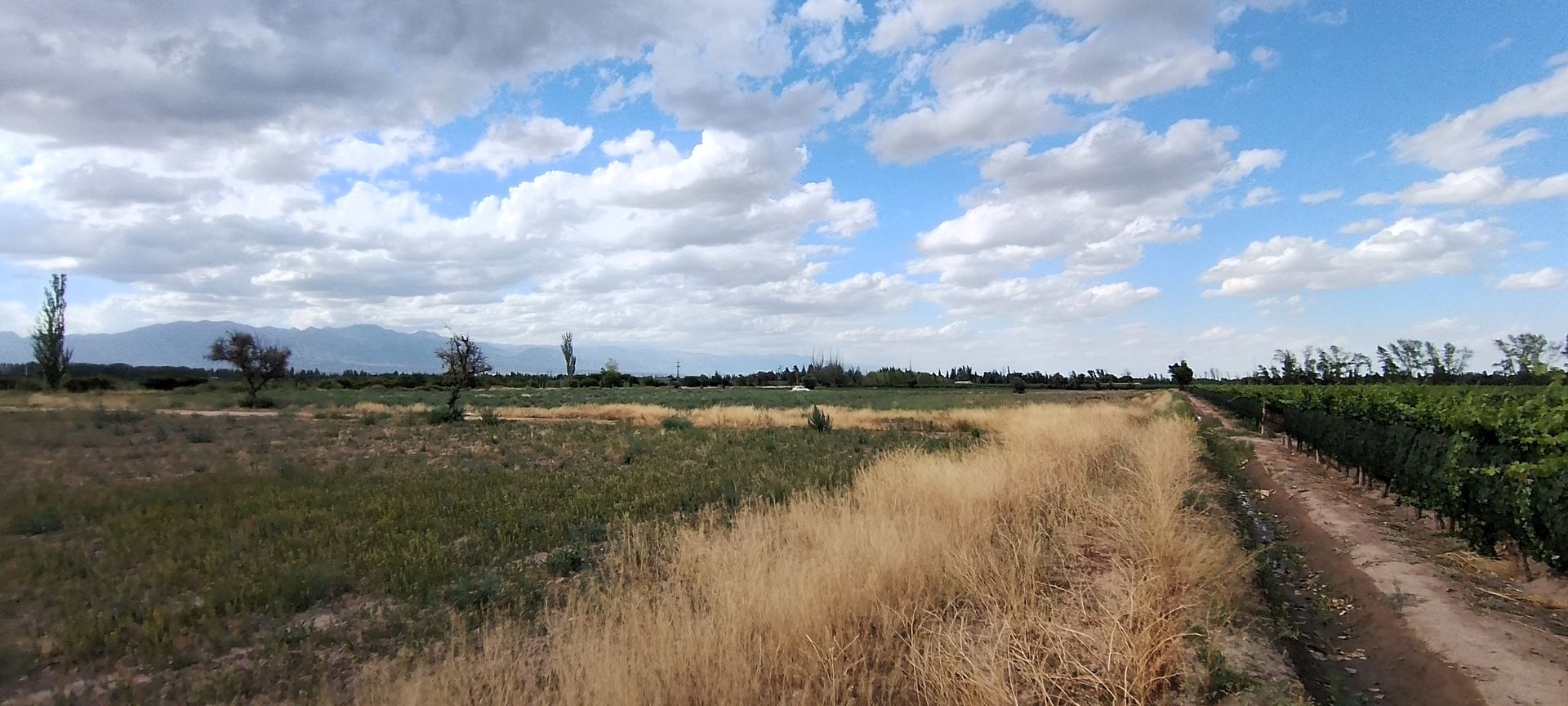 Lote en Venta en Lujan de Cuyo, Mendoza - USD 364.000 | Inmoup - 11