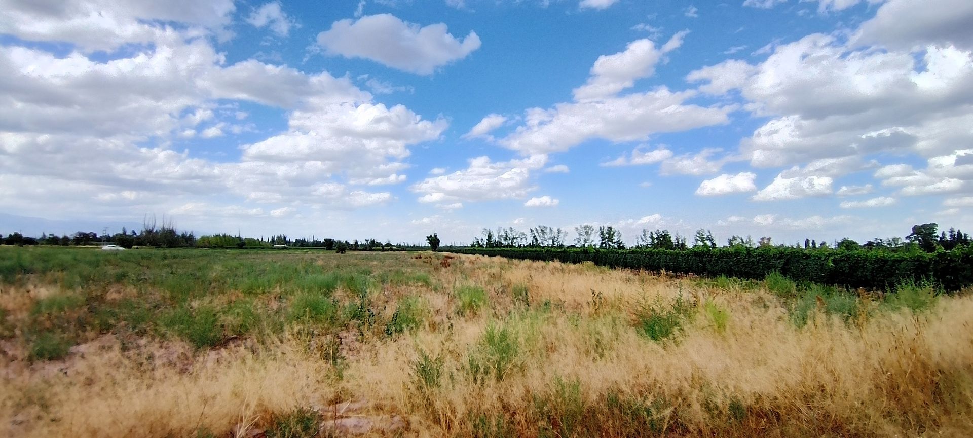 Lote en Venta en Lujan de Cuyo, Mendoza - USD 364.000 | Inmoup - 9