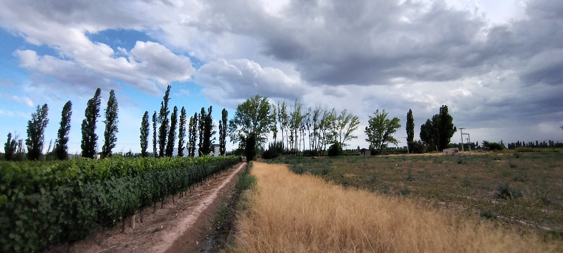 Lote en Venta en Lujan de Cuyo, Mendoza - USD 364.000 | Inmoup - 8