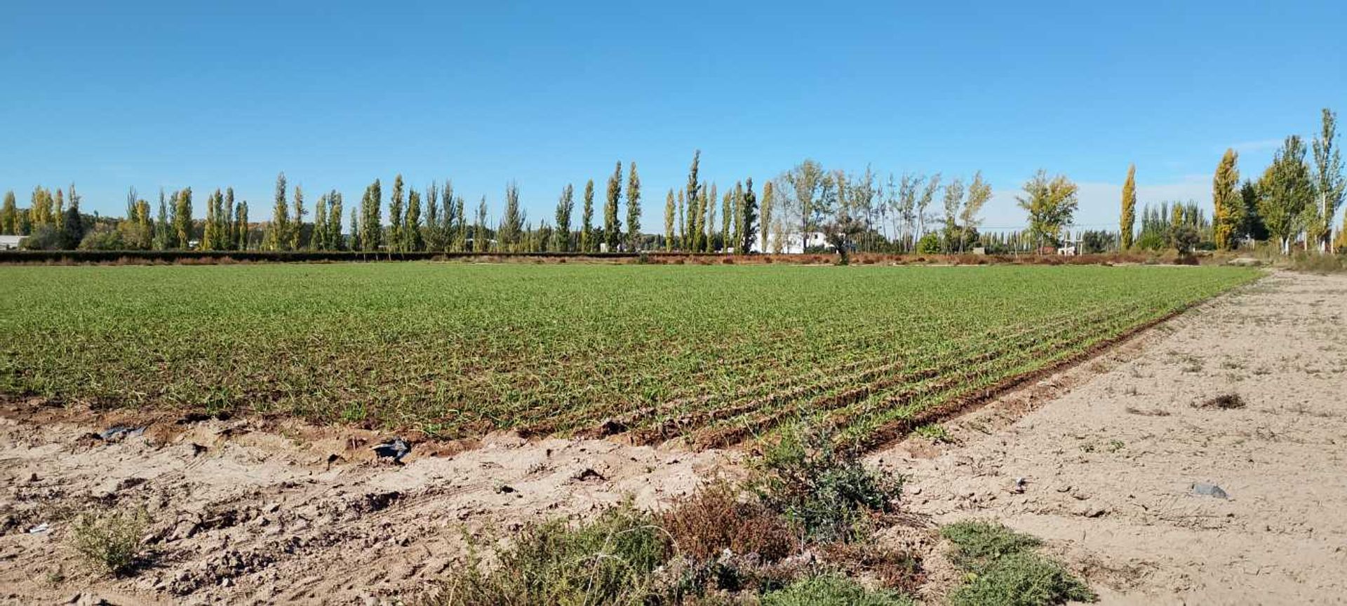 Lote en Venta en Lujan de Cuyo, Mendoza - USD 364.000 | Inmoup - 17