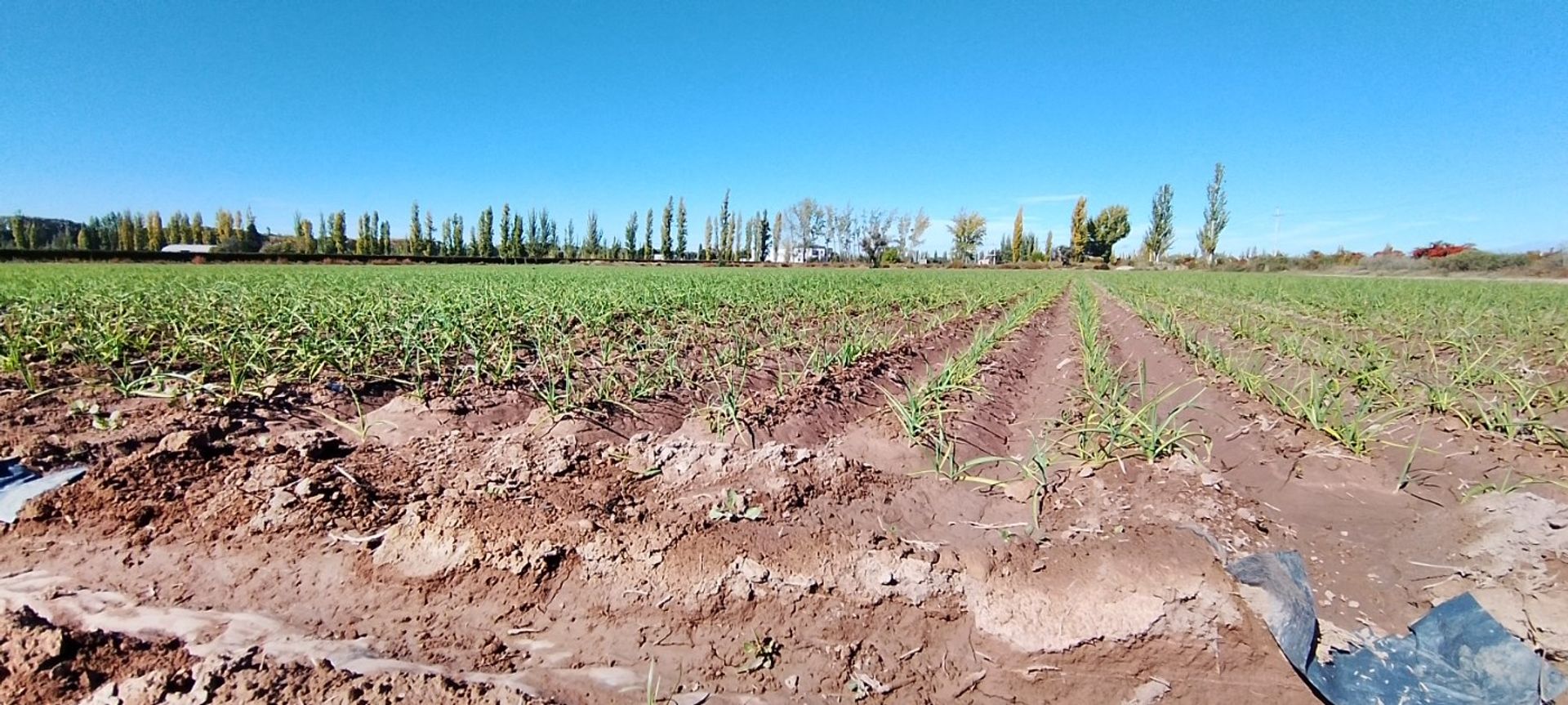 Lote en Venta en Lujan de Cuyo, Mendoza - USD 364.000 | Inmoup - 20