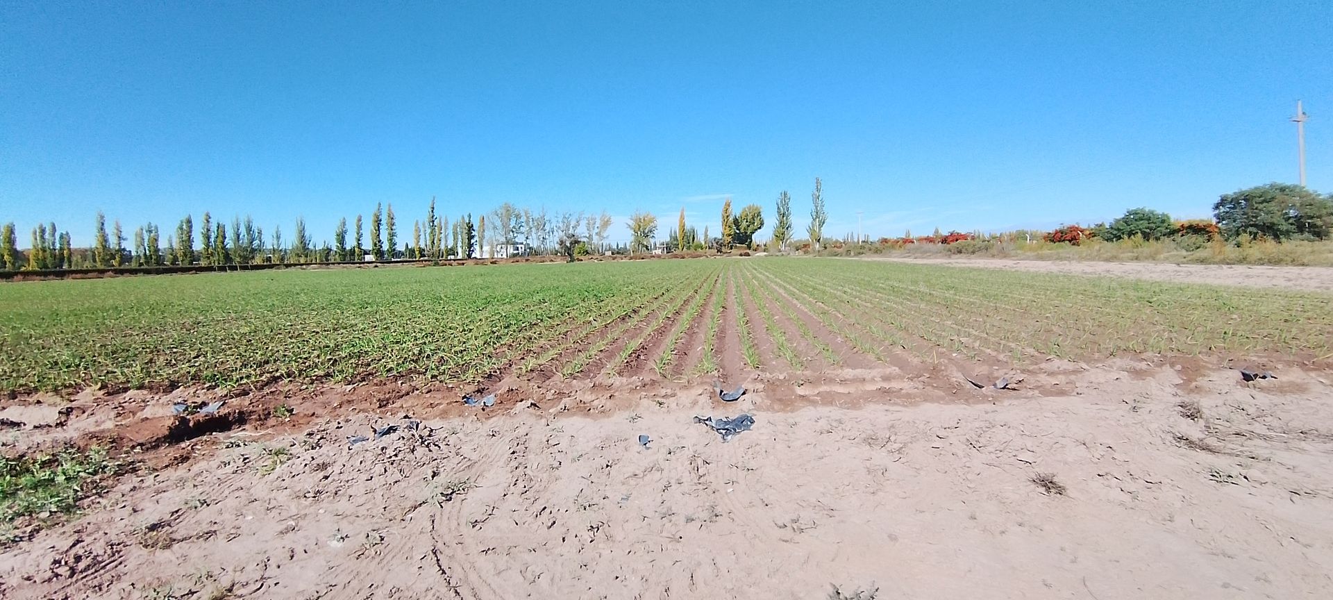 Lote en Venta en Lujan de Cuyo, Mendoza - USD 364.000 | Inmoup - 19