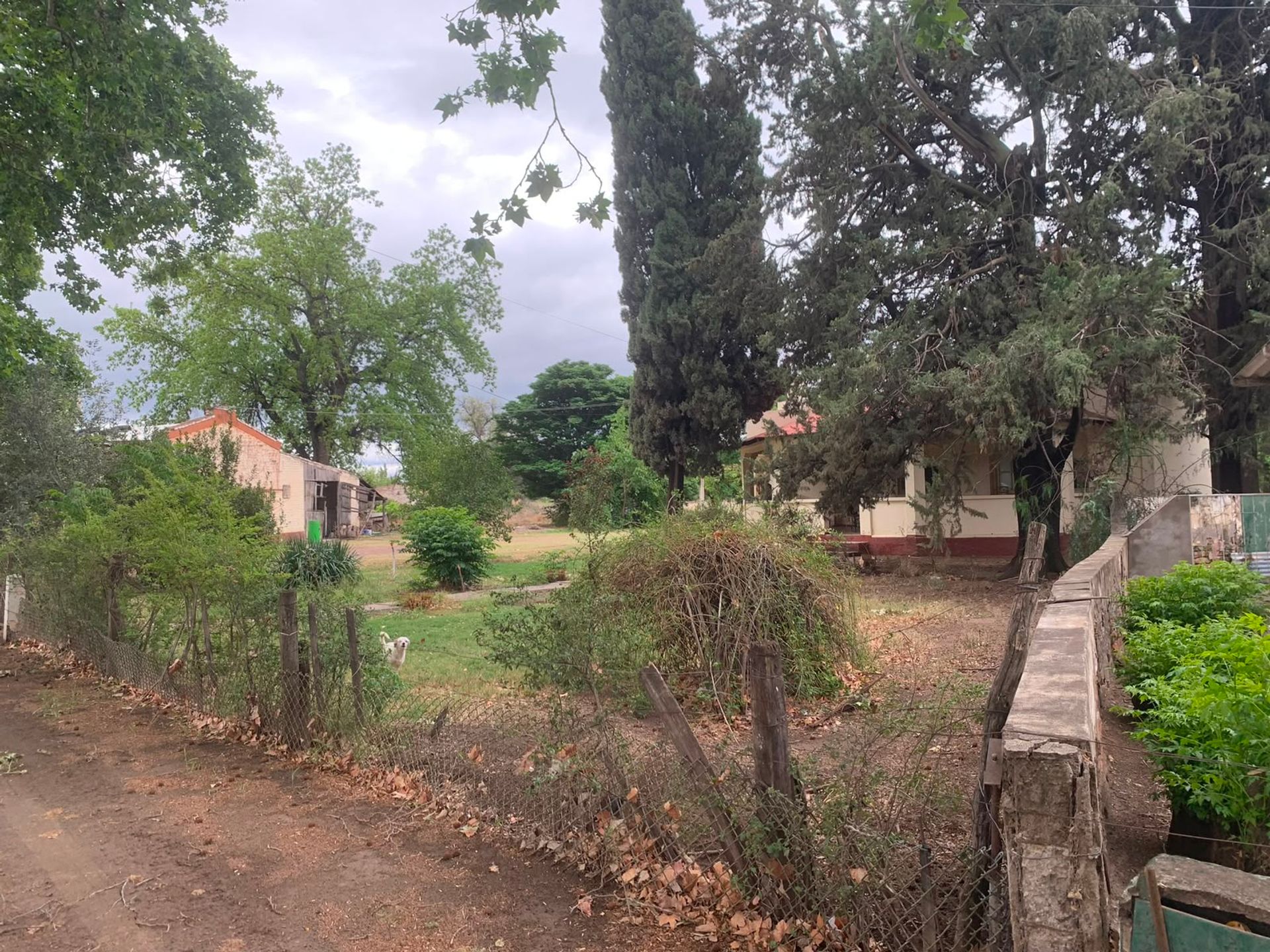 Casa en Venta en General alvear, Mendoza