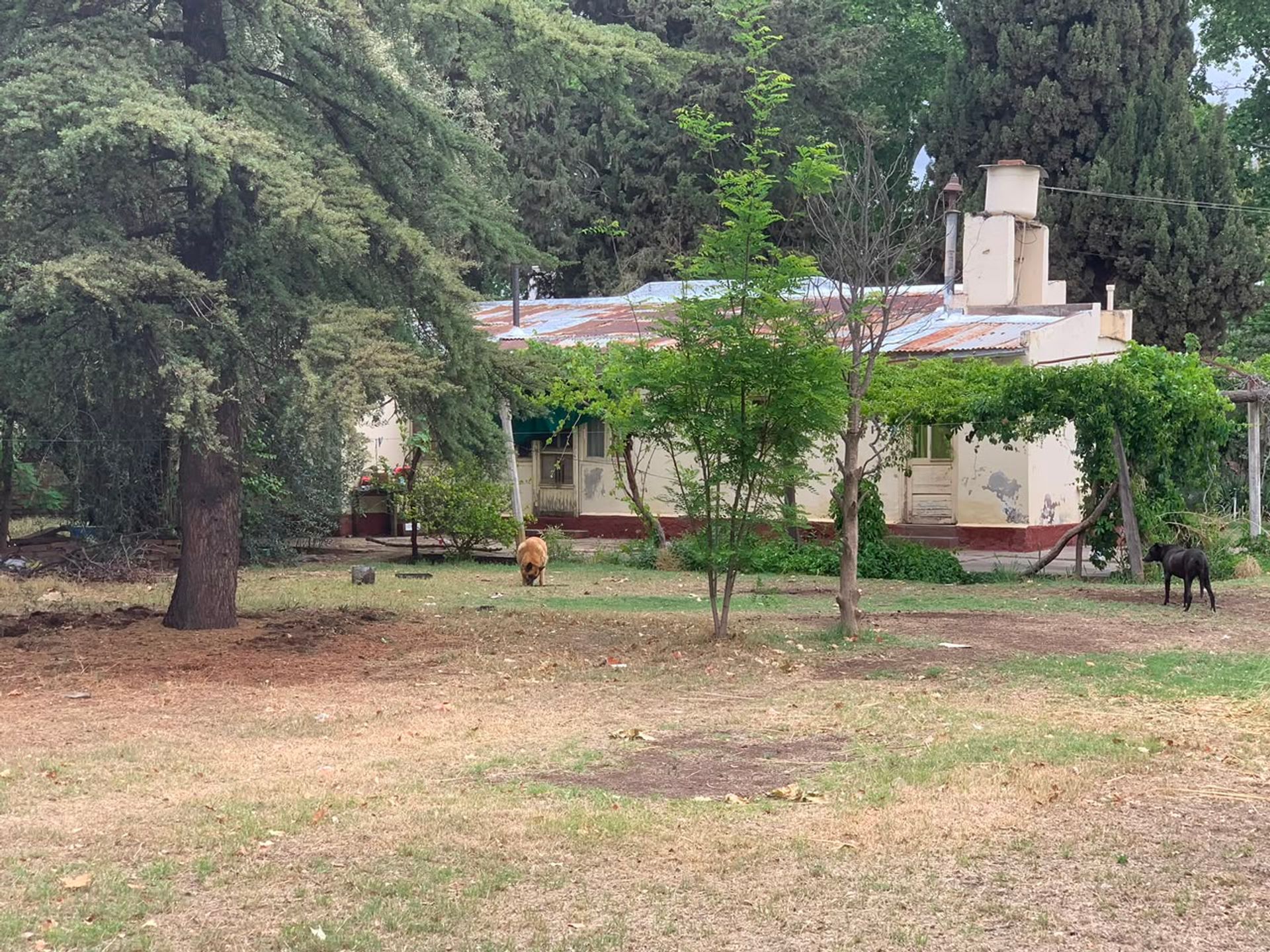 General alvear Diagonal Carlos Pellegrini 2400