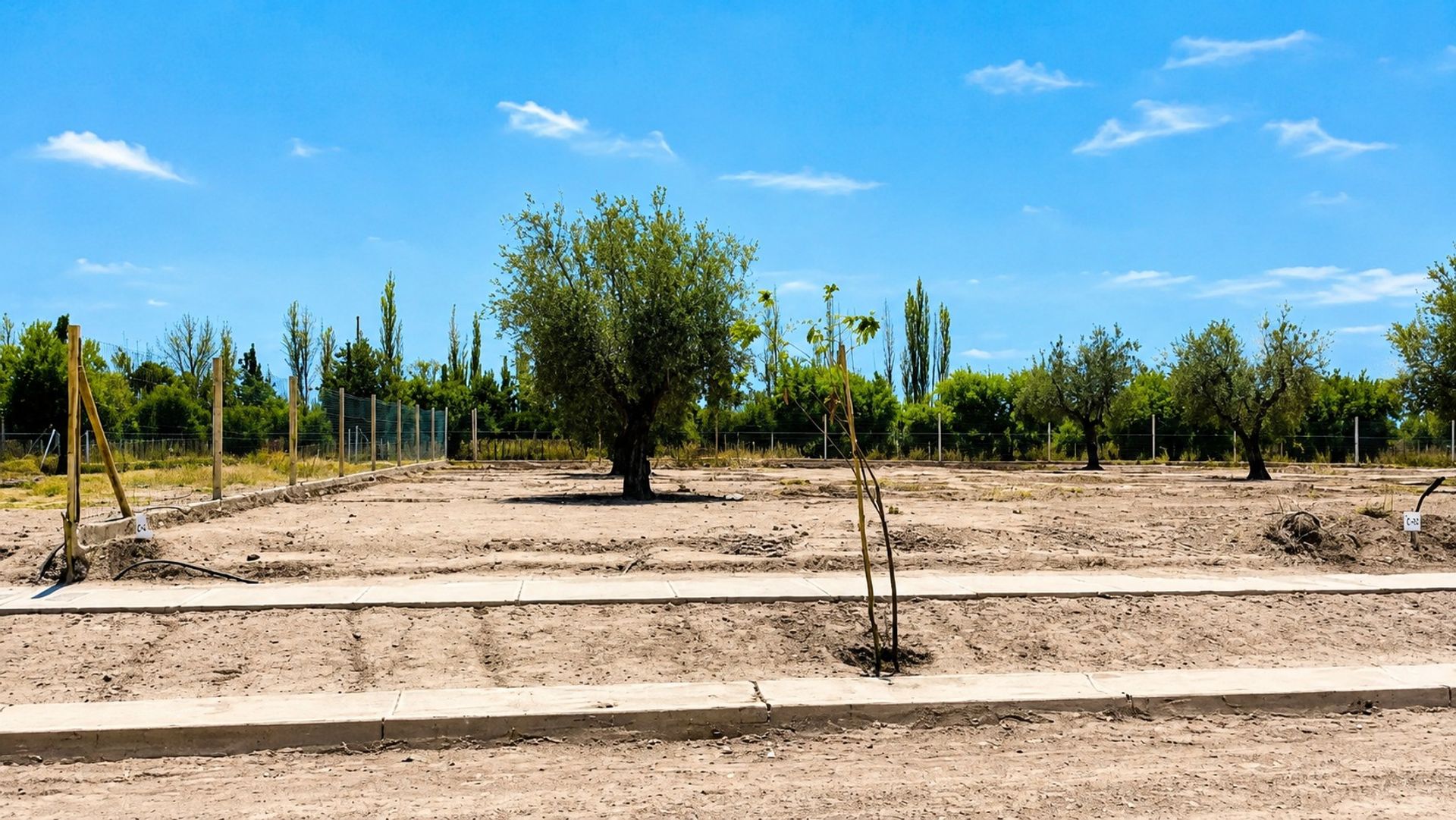 Lote en Venta en Maipu, Mendoza
