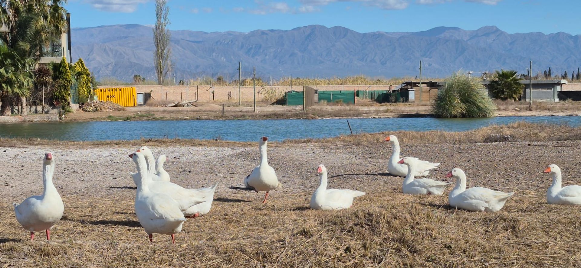 Lote en Venta en Guaymallen, Mendoza