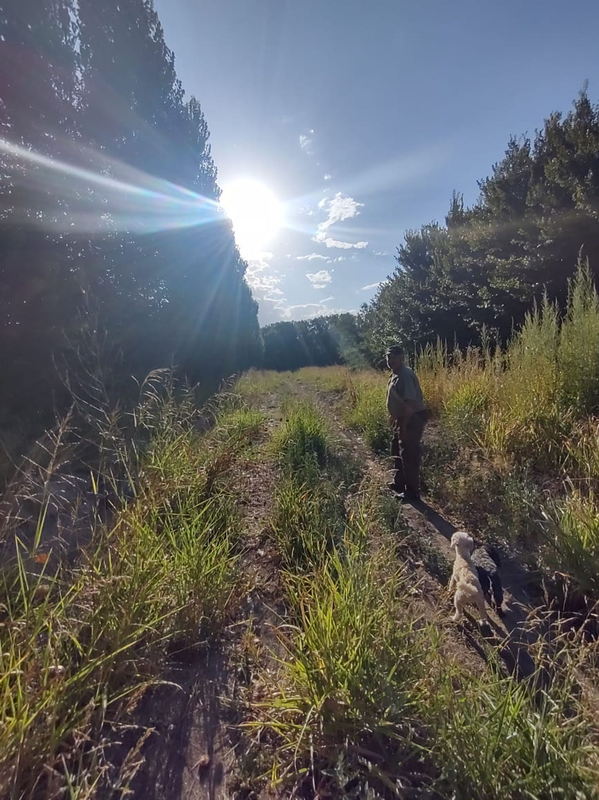 Lote en Venta en Tunuyan, Mendoza