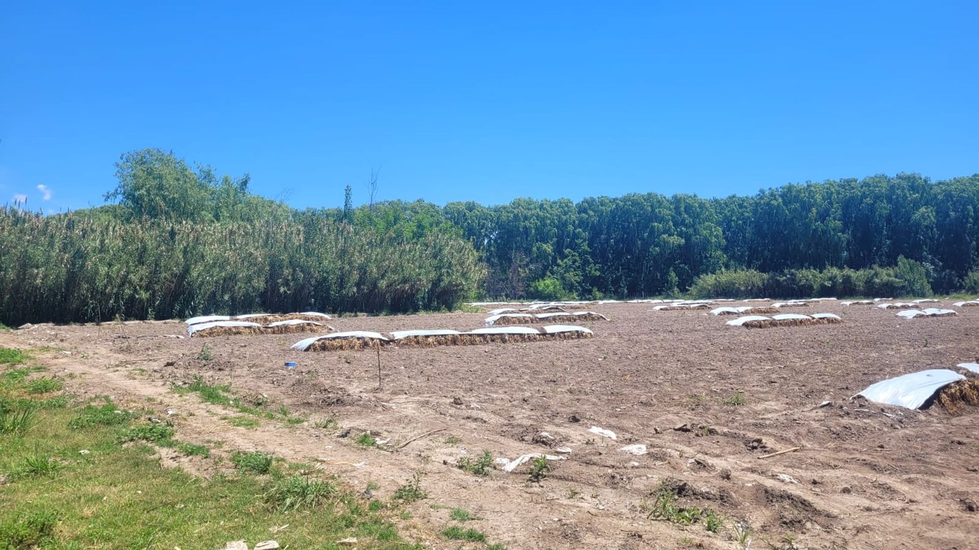 Lote en Venta en Tunuyan, Mendoza