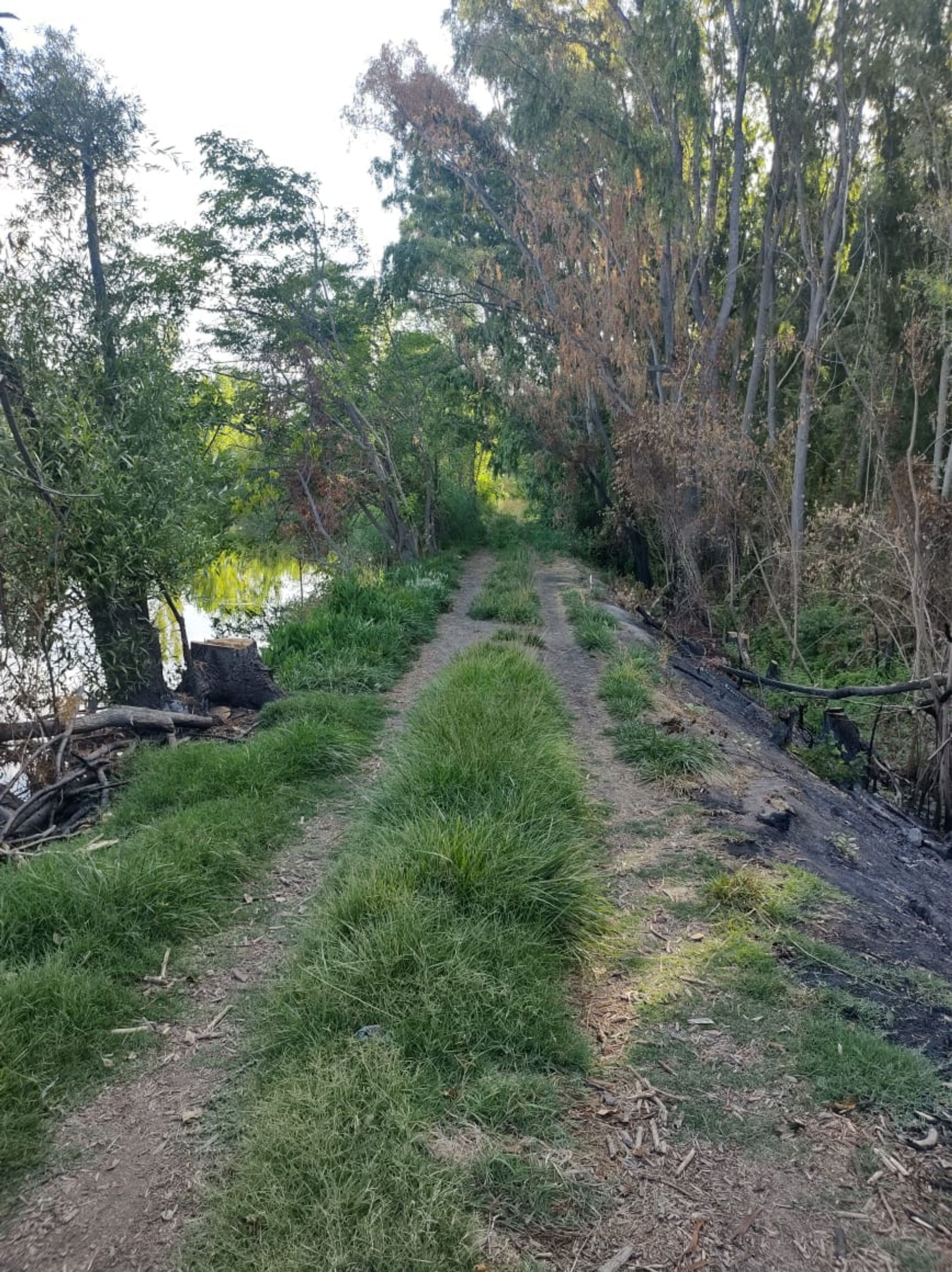 Lote en Venta en Tunuyan, Mendoza