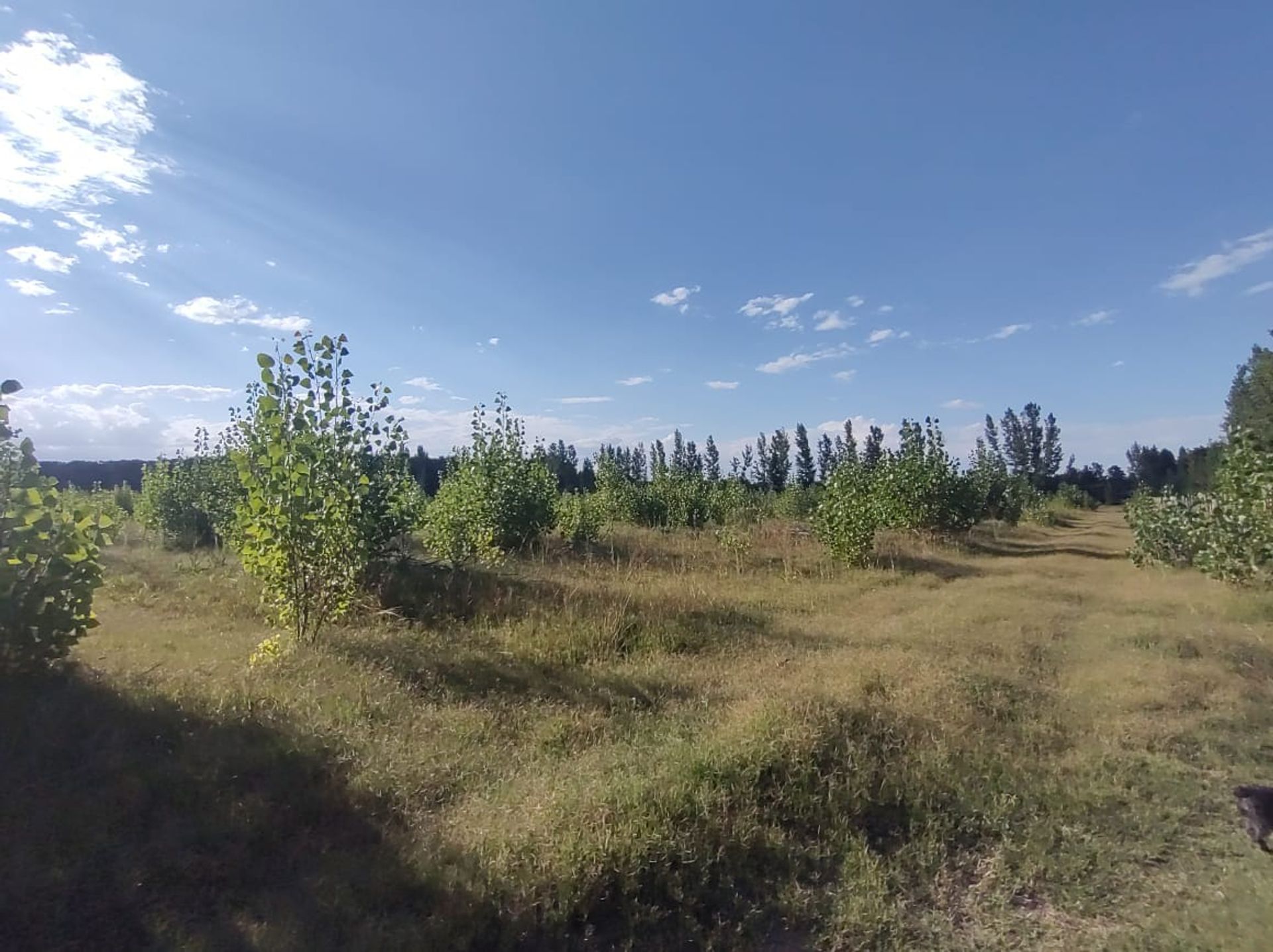Lote en Venta en Tunuyan, Mendoza
