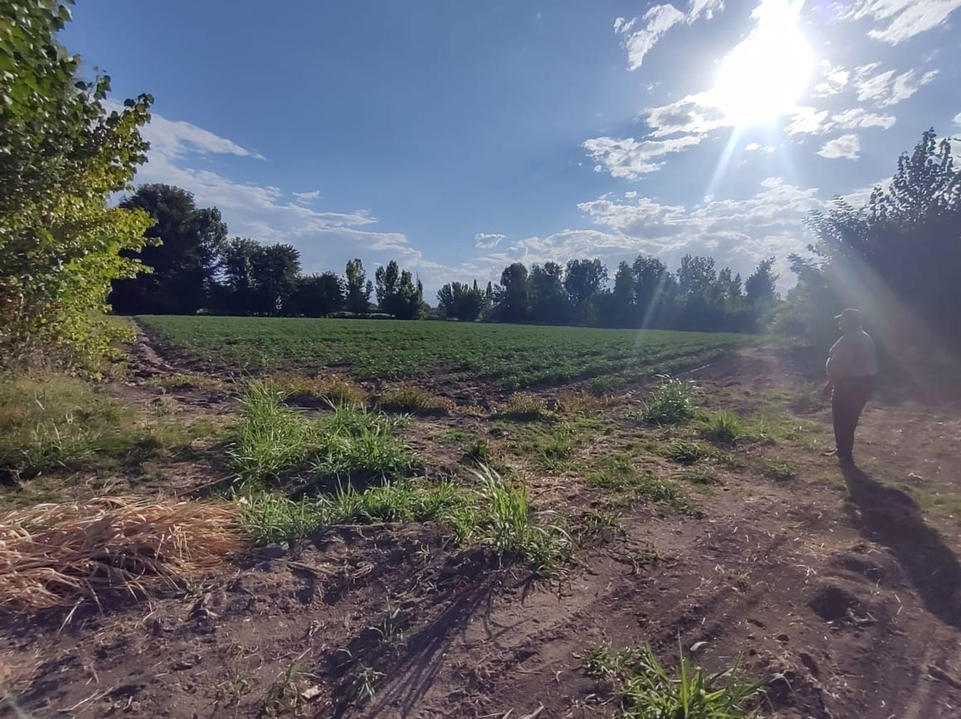 Lote en Venta en Tunuyan, Mendoza