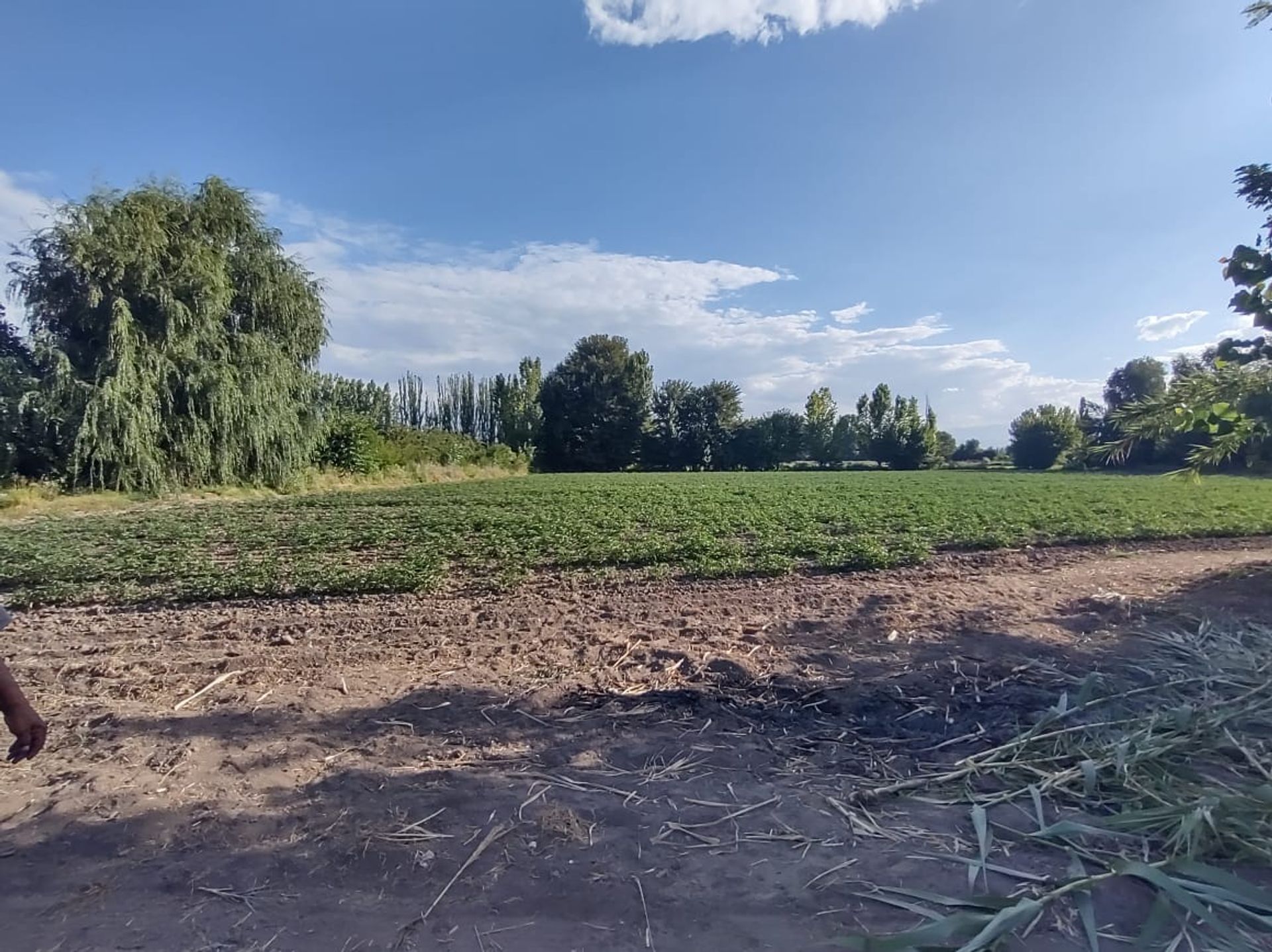 Lote en Venta en Tunuyan, Mendoza