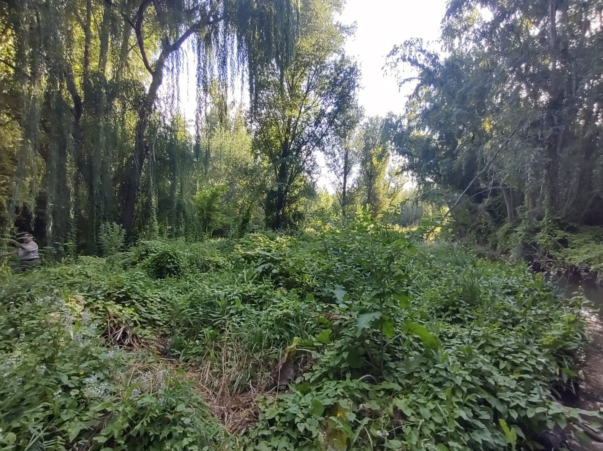 Lote en Venta en Tunuyan, Mendoza