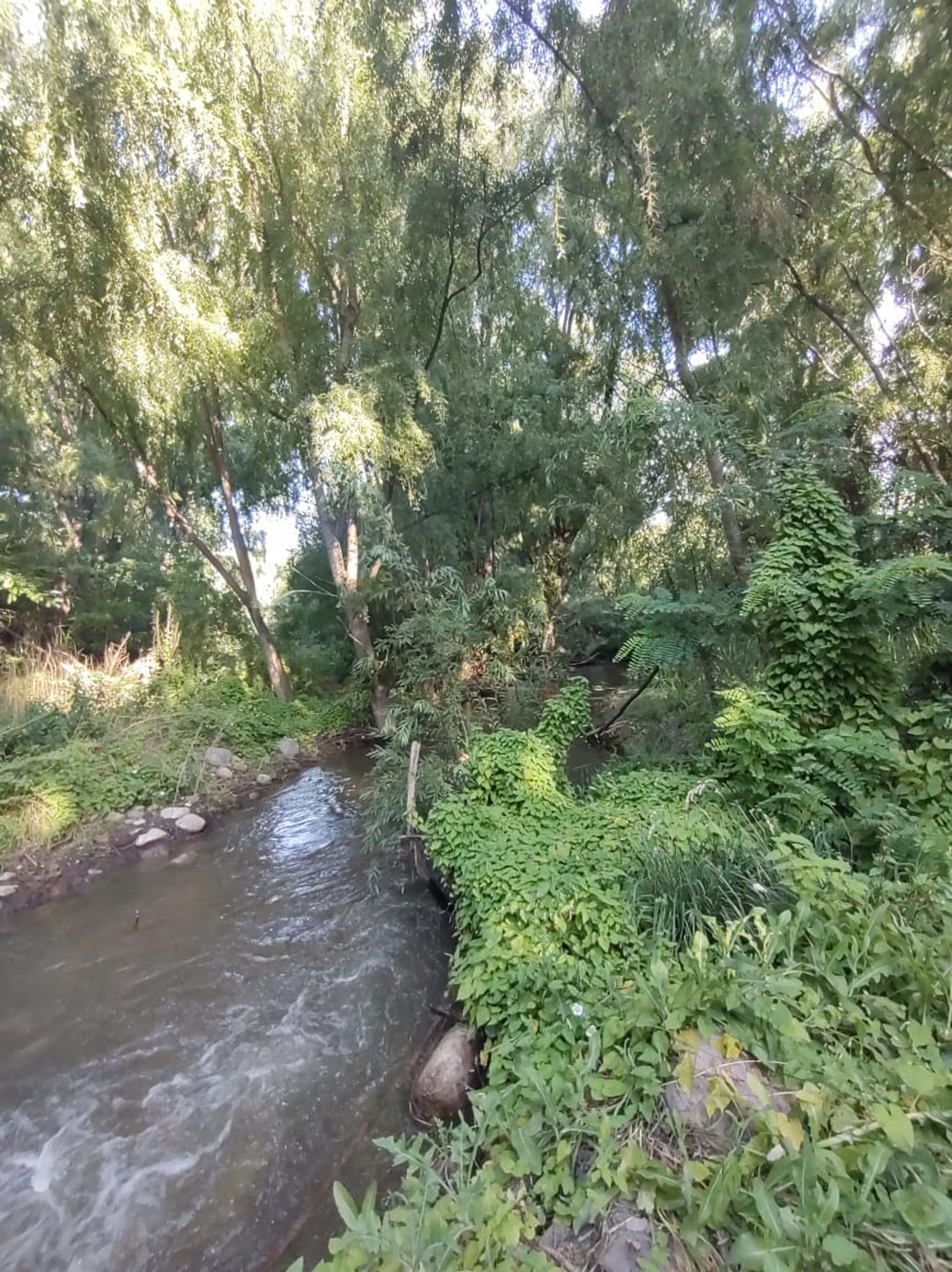 Lote en Venta en Tunuyan, Mendoza