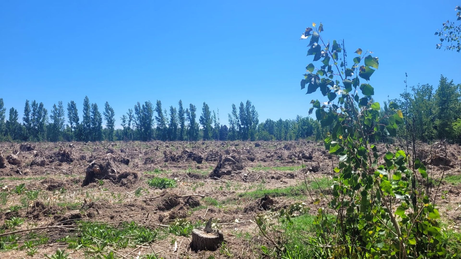 Lote en Venta en Tunuyan, Mendoza