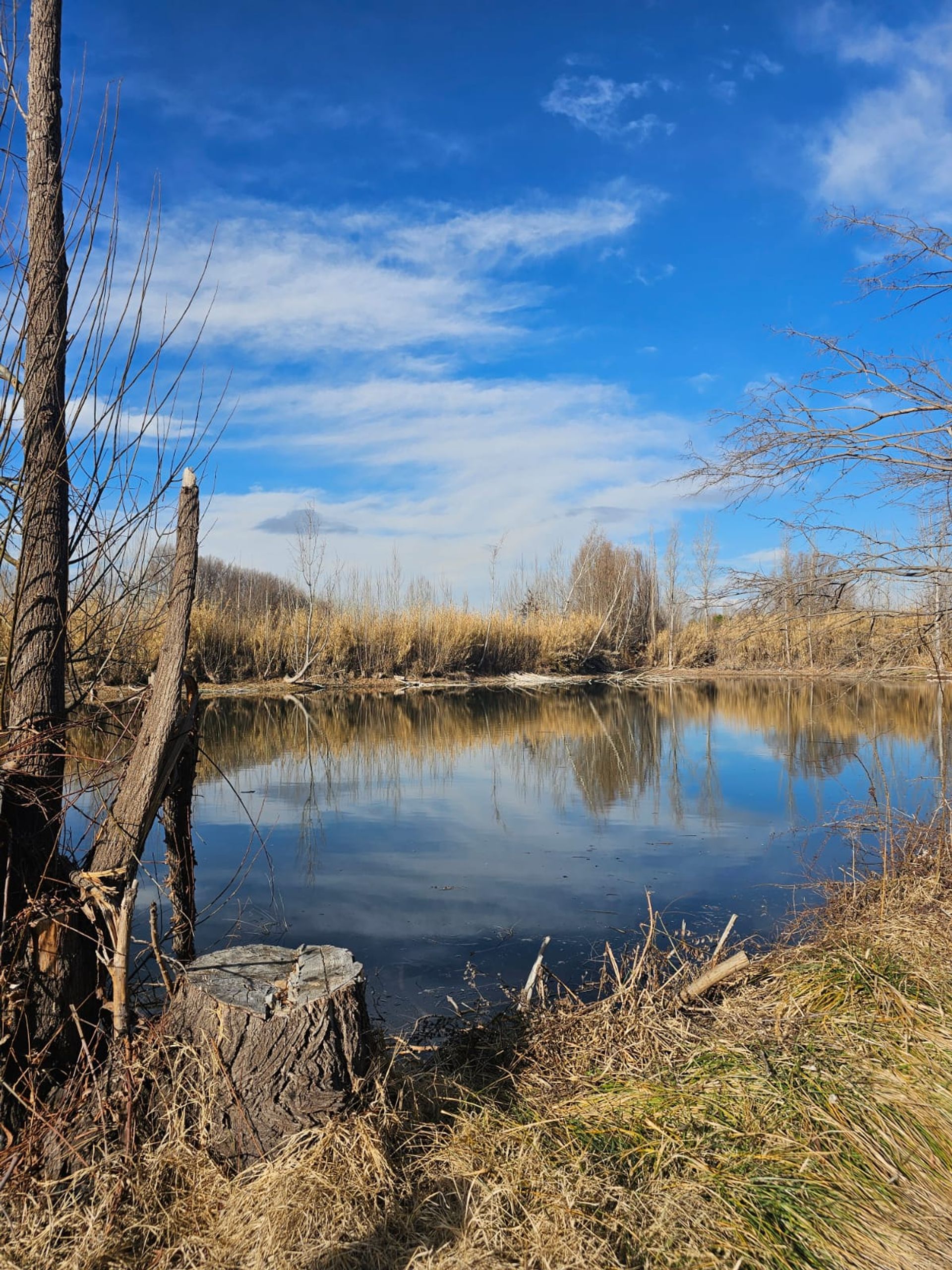 Lote en Venta en Tunuyan, Mendoza