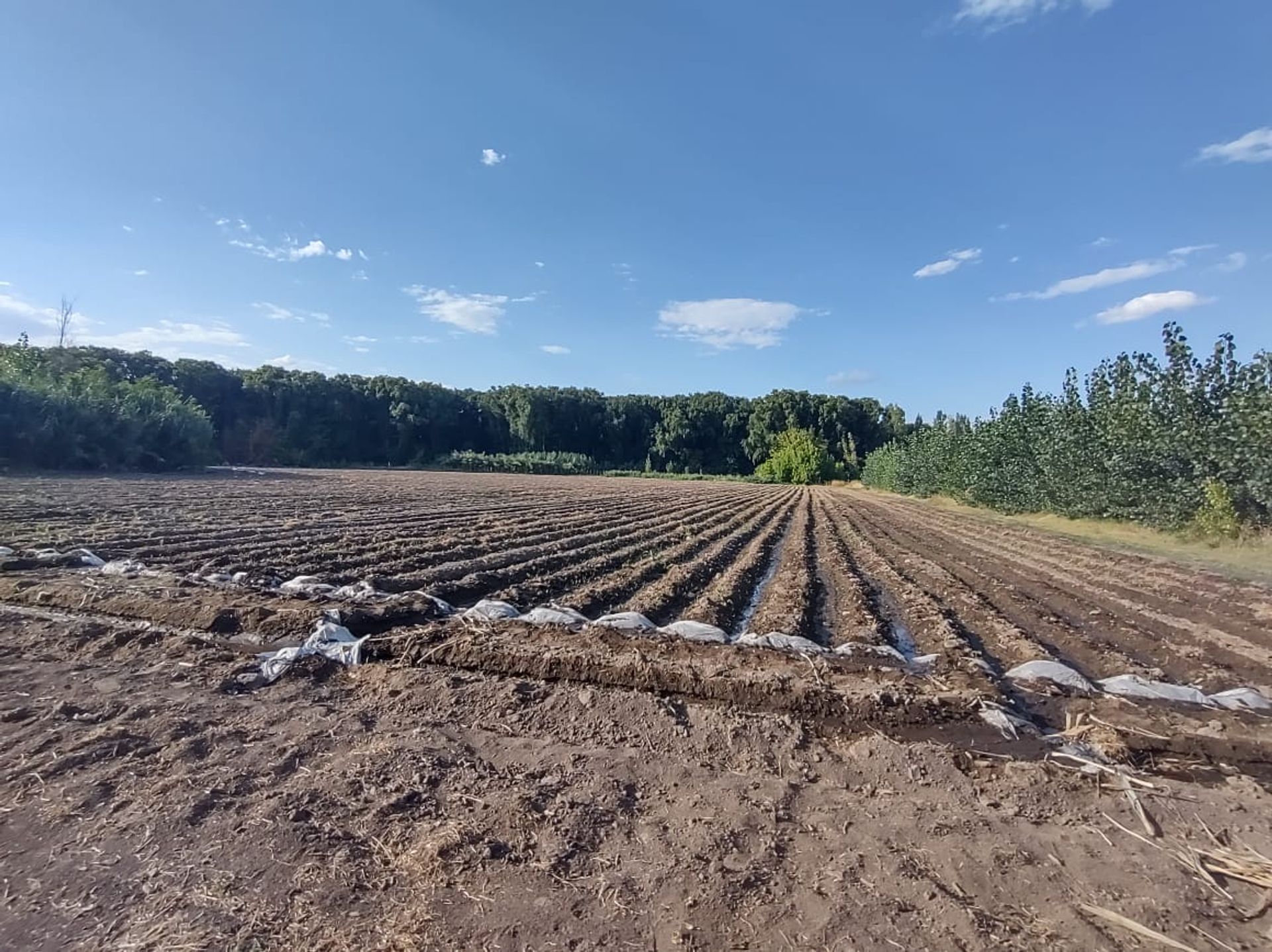 Lote en Venta en Tunuyan, Mendoza