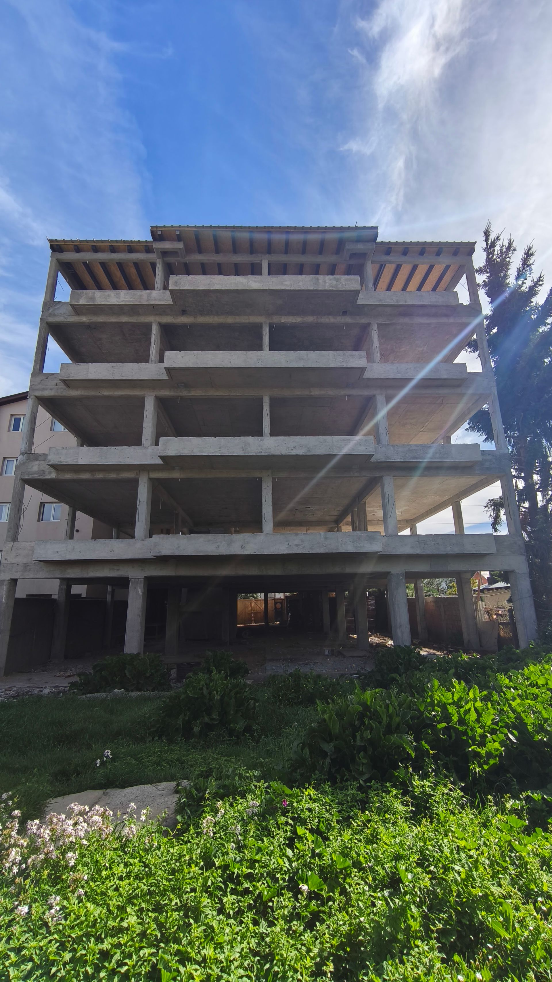 Imagen 5