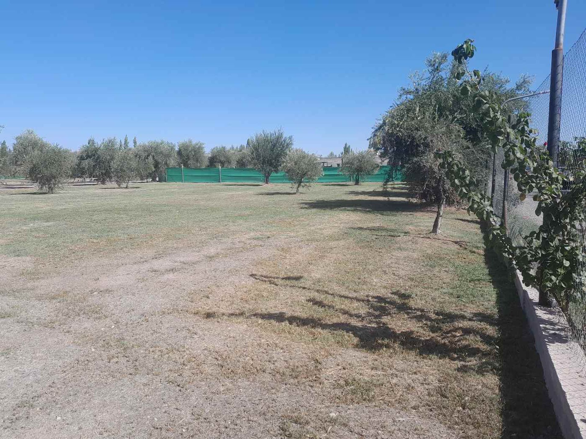 Lote en Venta en Lujan de Cuyo, Mendoza