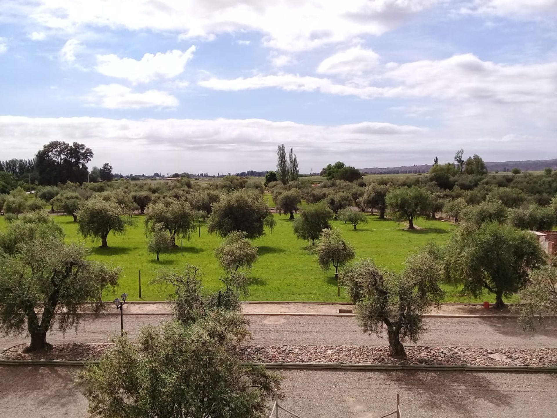 Lote en Venta en Lujan de Cuyo, Mendoza
