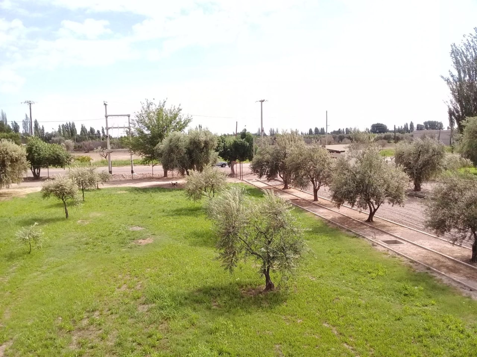 Lote en Venta en Lujan de Cuyo, Mendoza