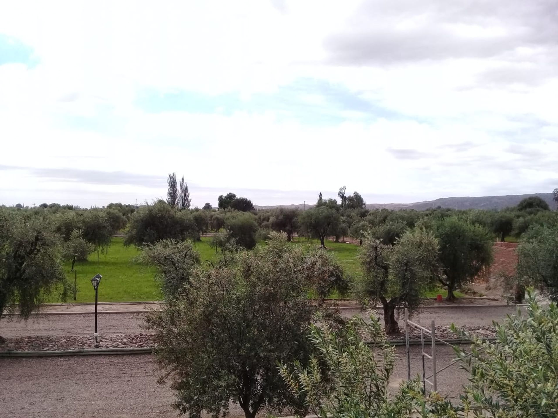 Lote en Venta en Lujan de Cuyo, Mendoza