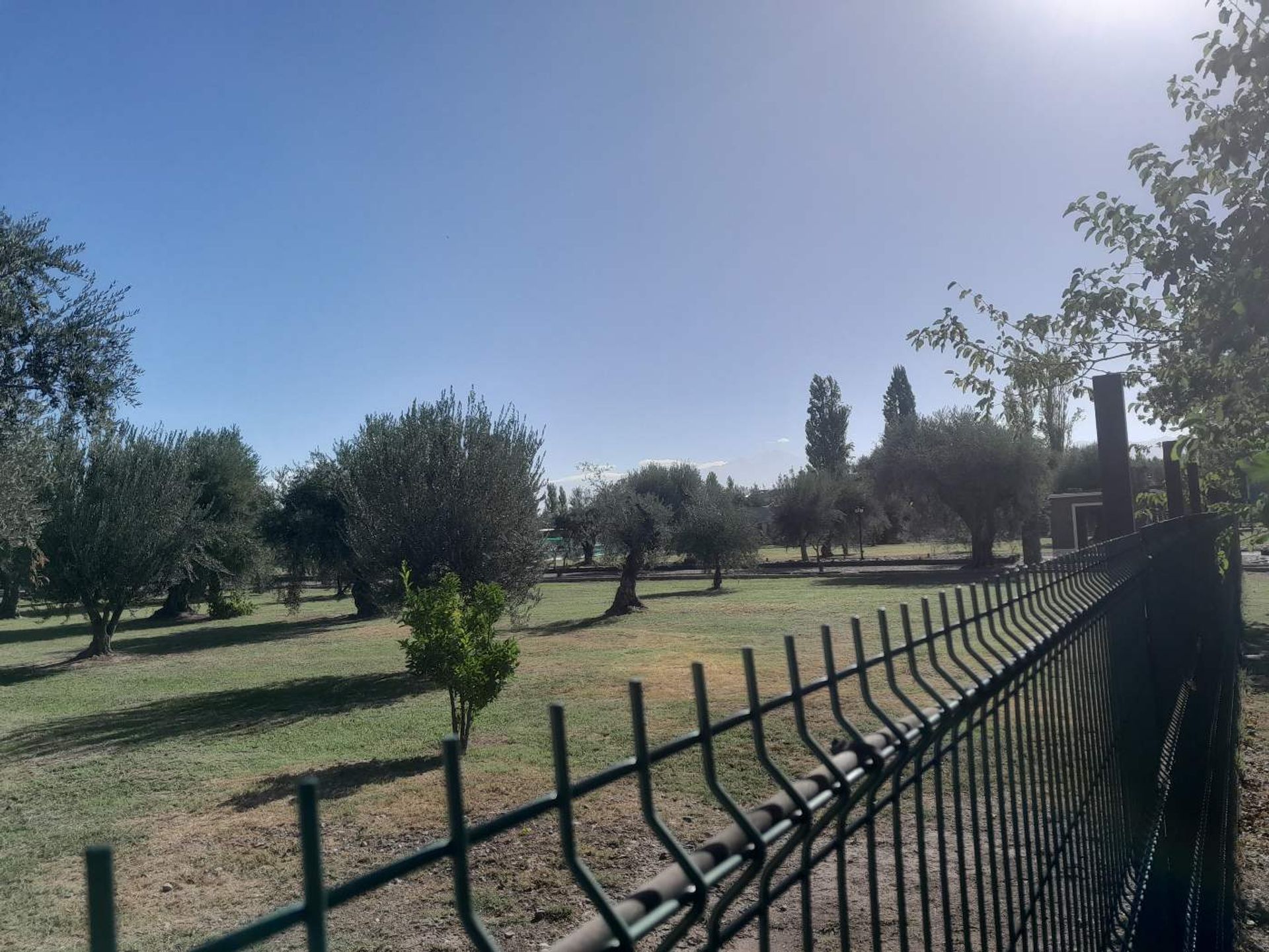 Lote en Venta en Lujan de Cuyo, Mendoza