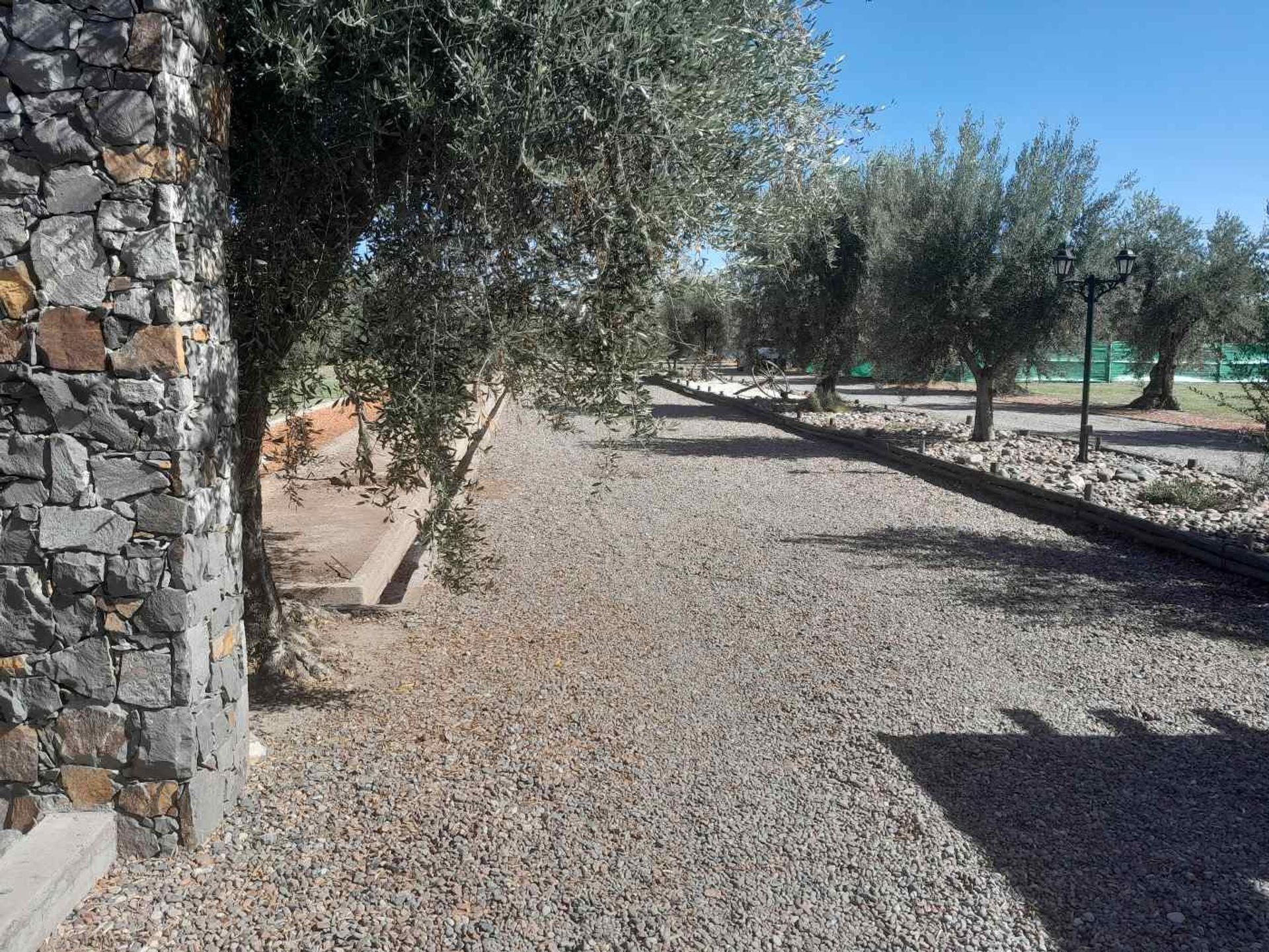 Lote en Venta en Lujan de Cuyo, Mendoza
