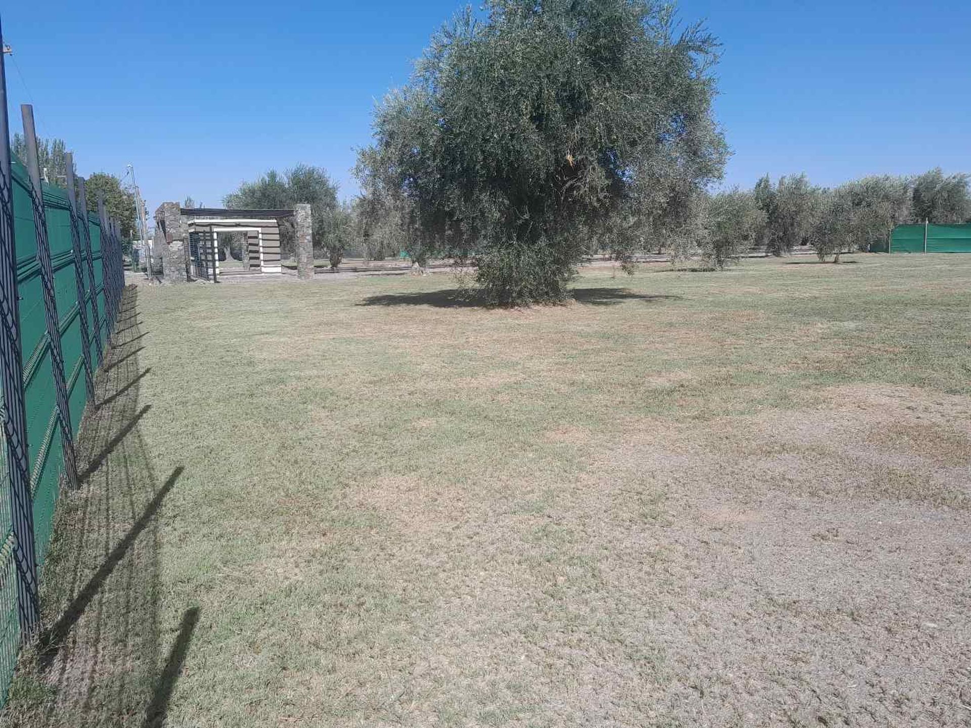 Lote en Venta en Lujan de Cuyo, Mendoza