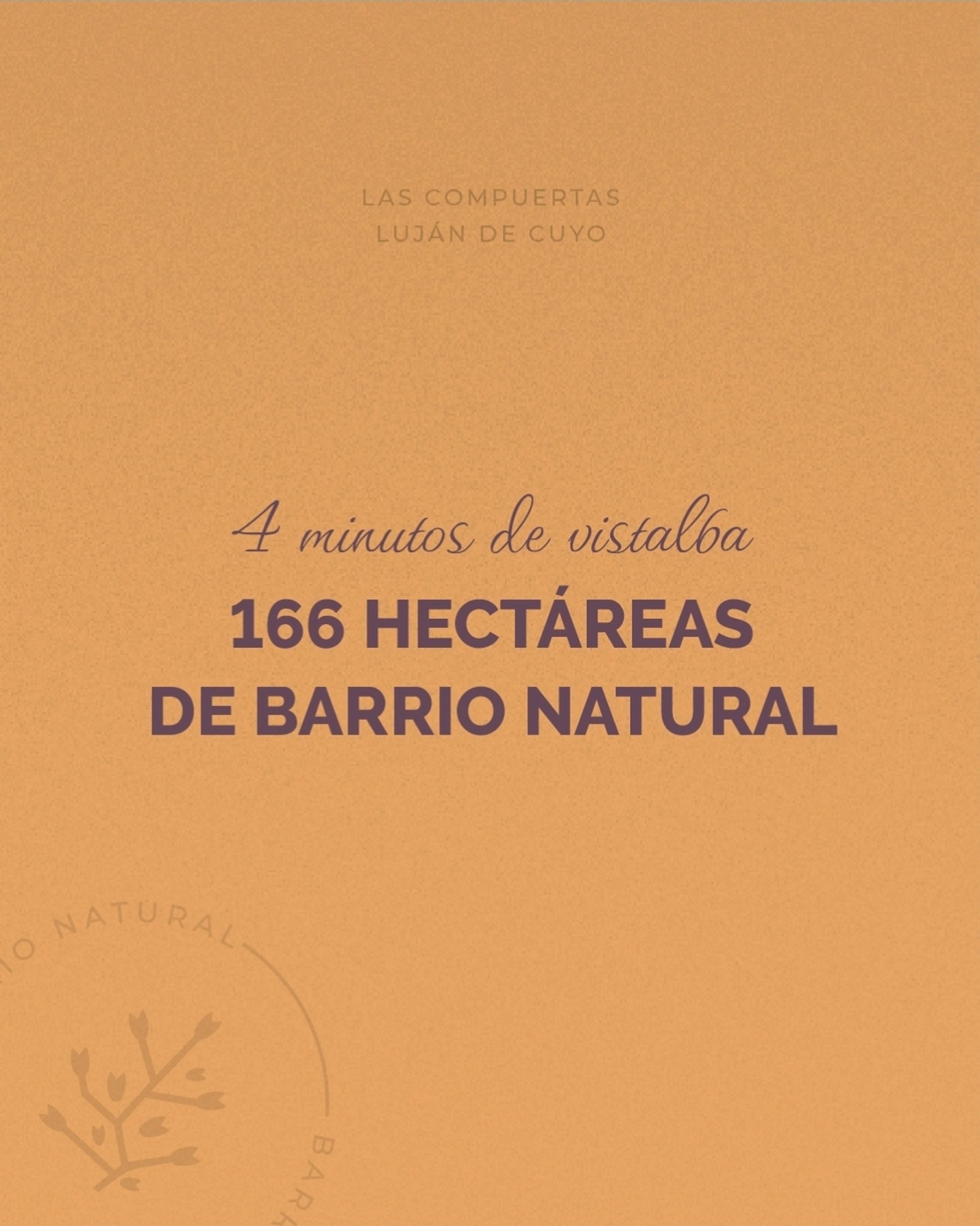 Lote en Venta en Lujan de Cuyo, Mendoza