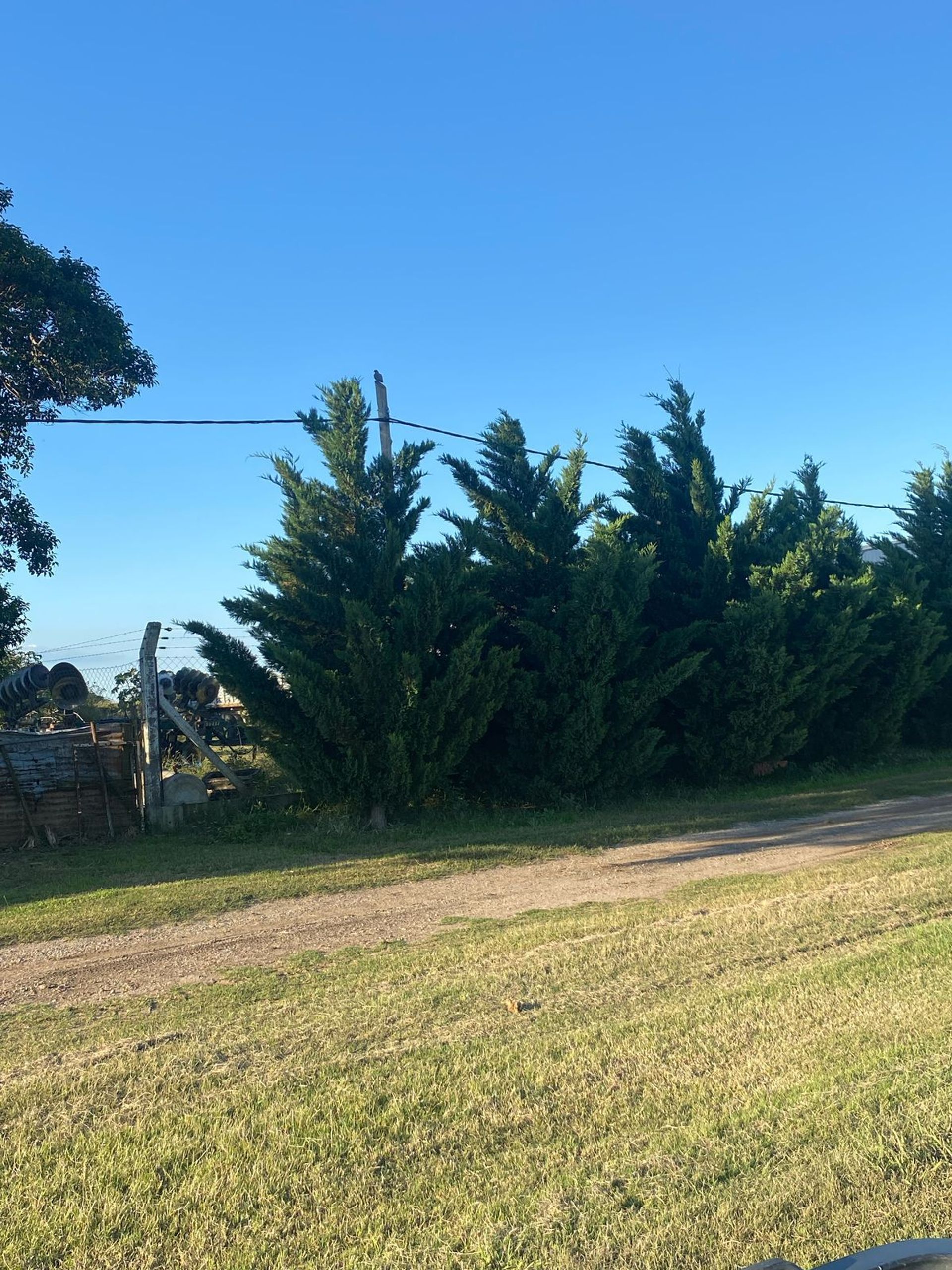 Lote en Venta en Castellanos, Santa Fe