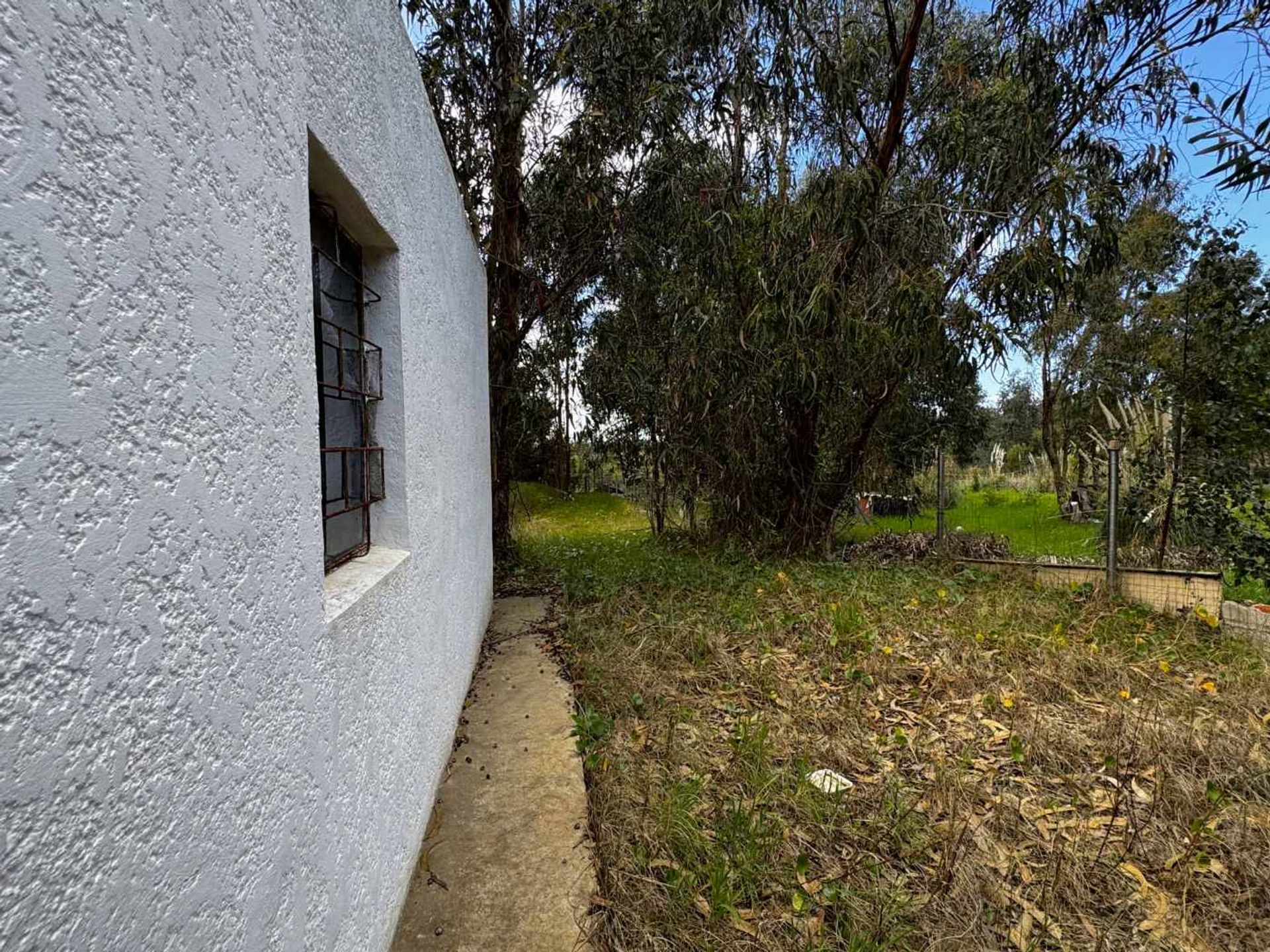 Venta casa de un dormitorio Araminda gran terreno - 8