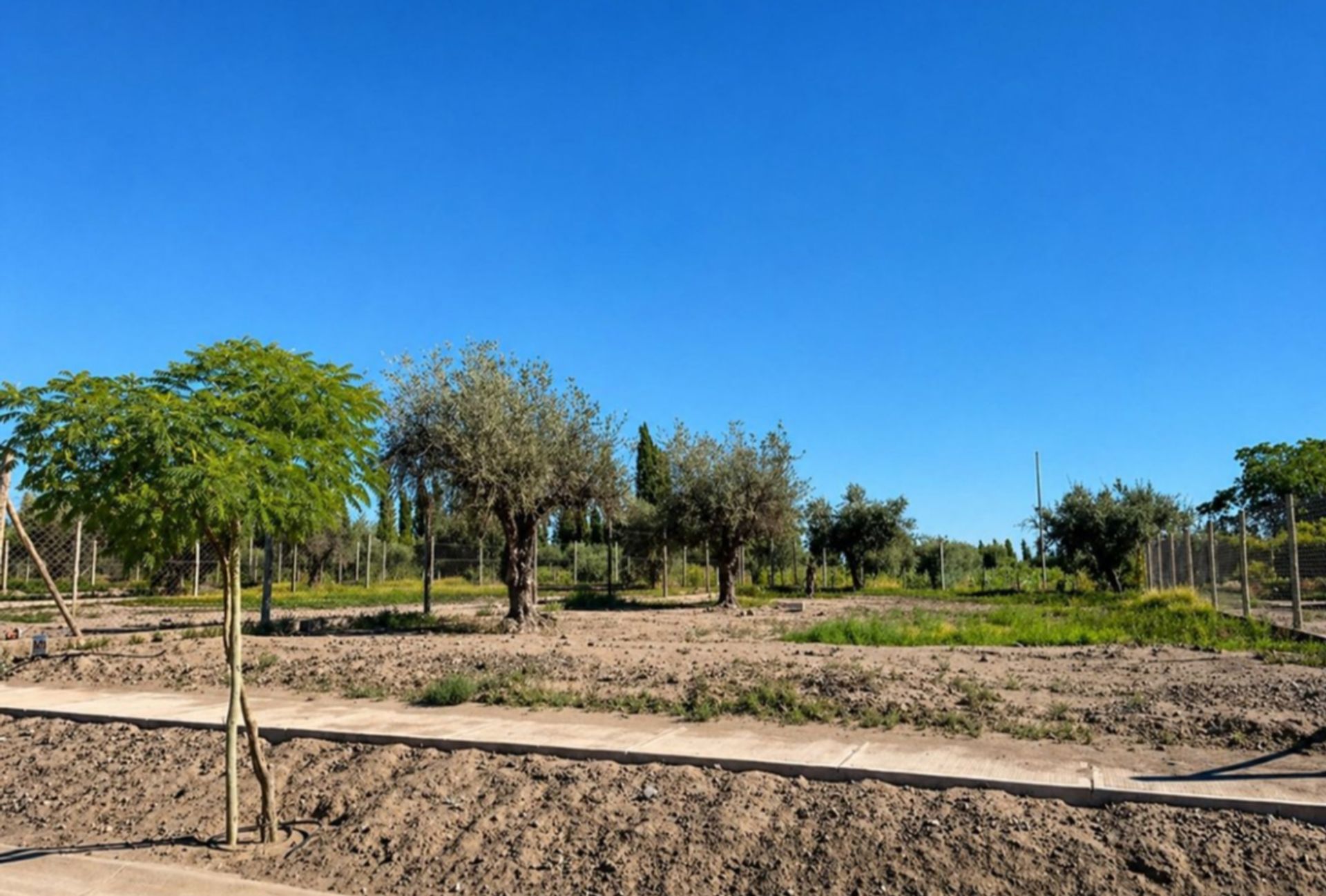 Lote en Venta en Lujan de Cuyo, Mendoza - USD 19.900 | Inmoup - 7