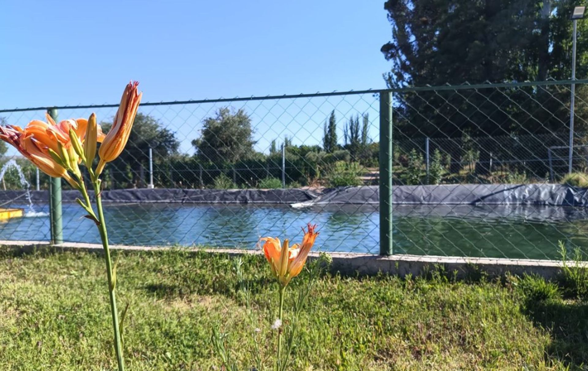 Lote en Venta en Lujan de Cuyo, Mendoza - USD 19.900 | Inmoup - 6