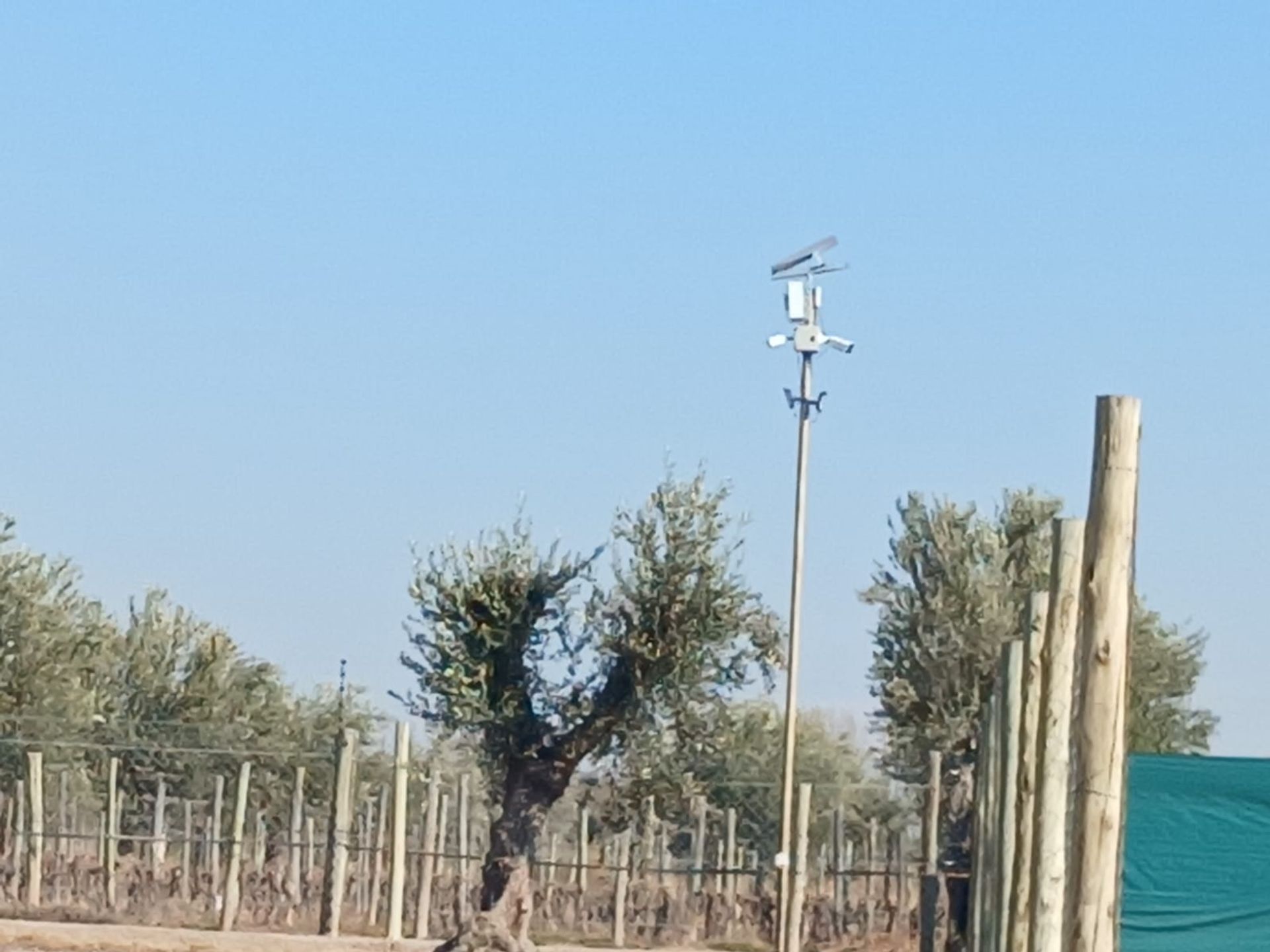 Lote en Venta en Lujan de Cuyo, Mendoza