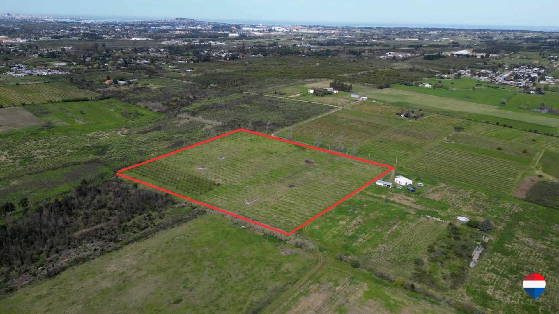 Venta de terreno de 3,850 hectáreas Melilla - 3
