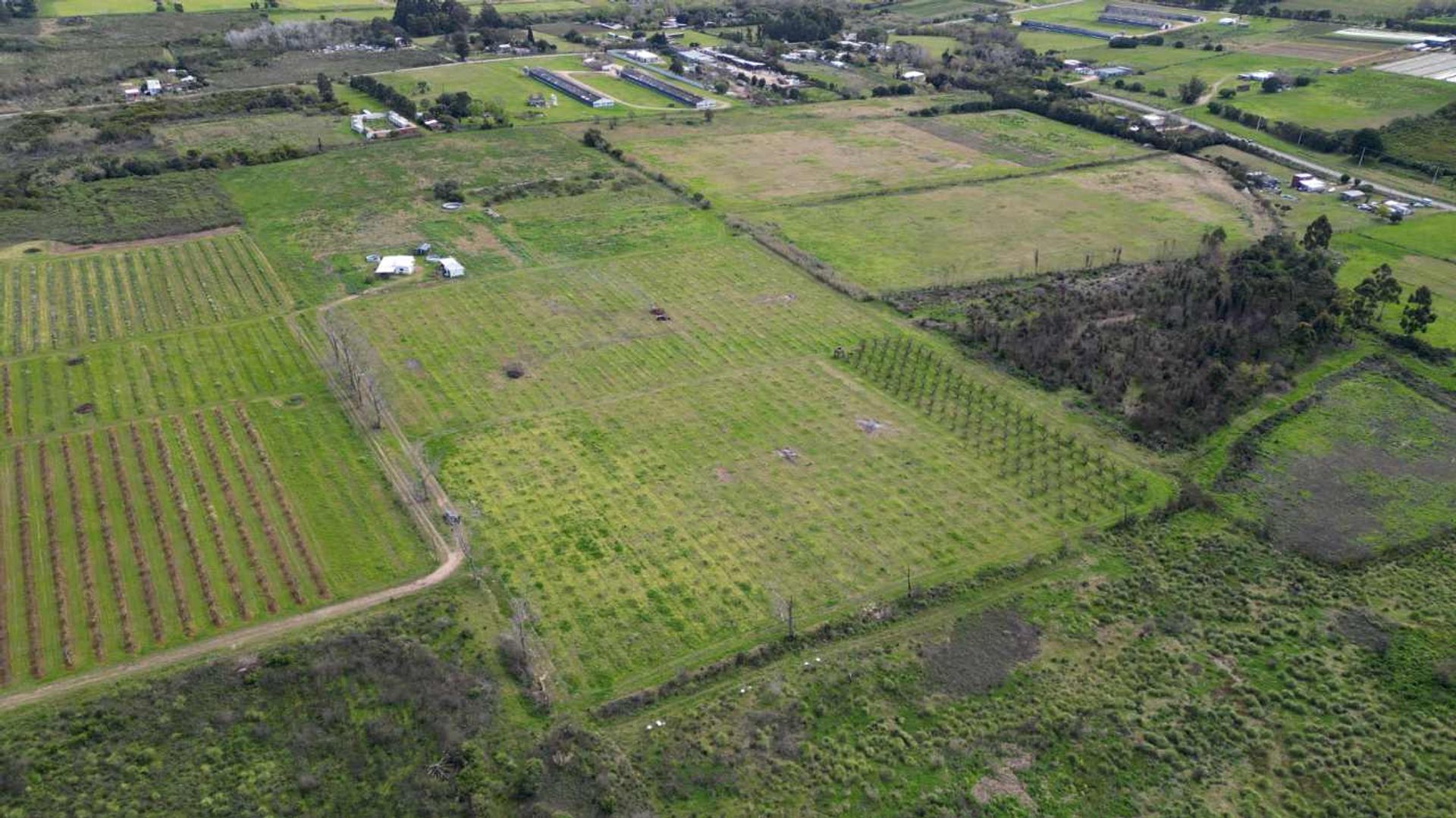Venta de terreno de 3,850 hectáreas Melilla - 1