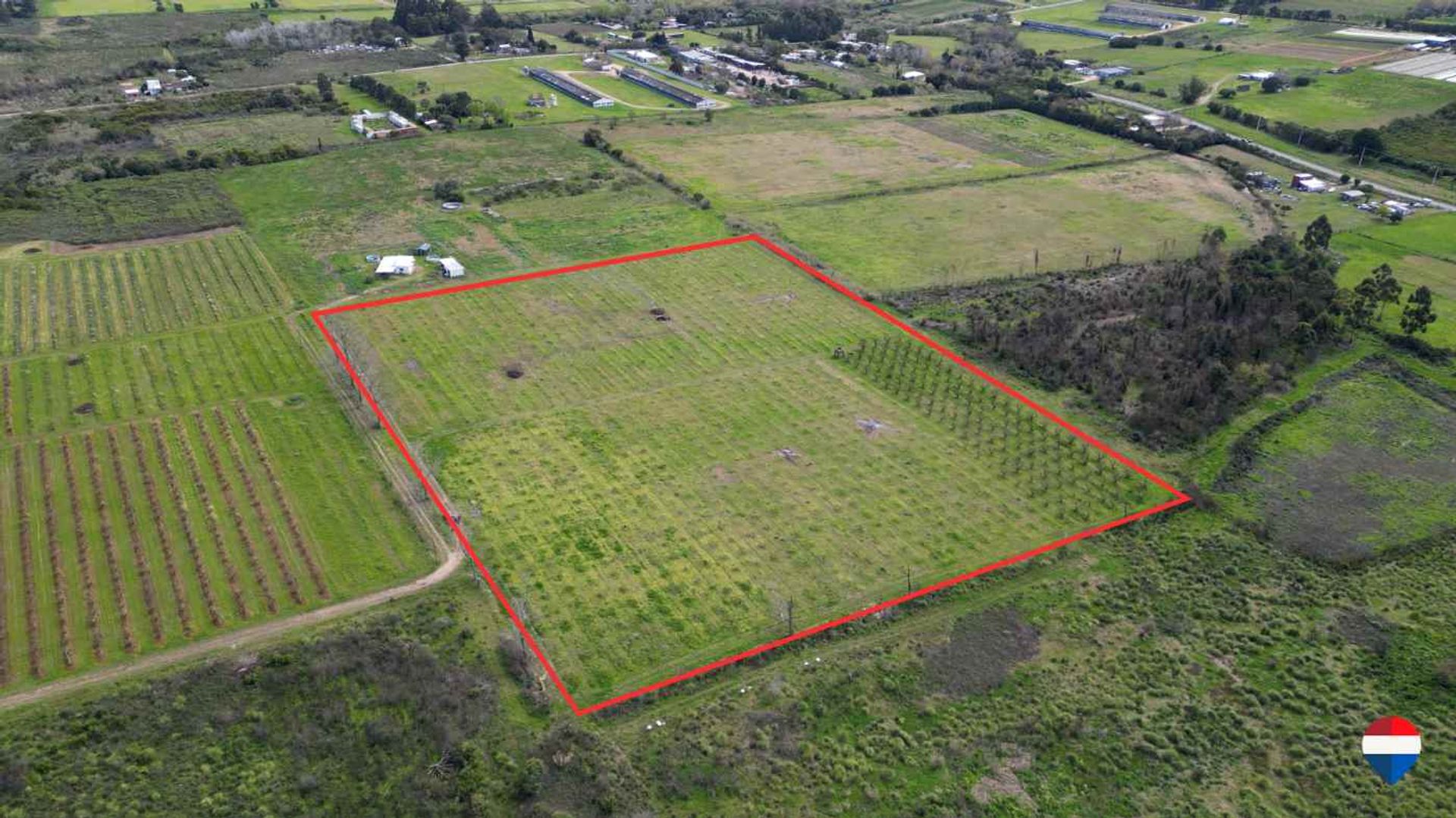 Venta de terreno de 3,850 hectáreas Melilla - 2