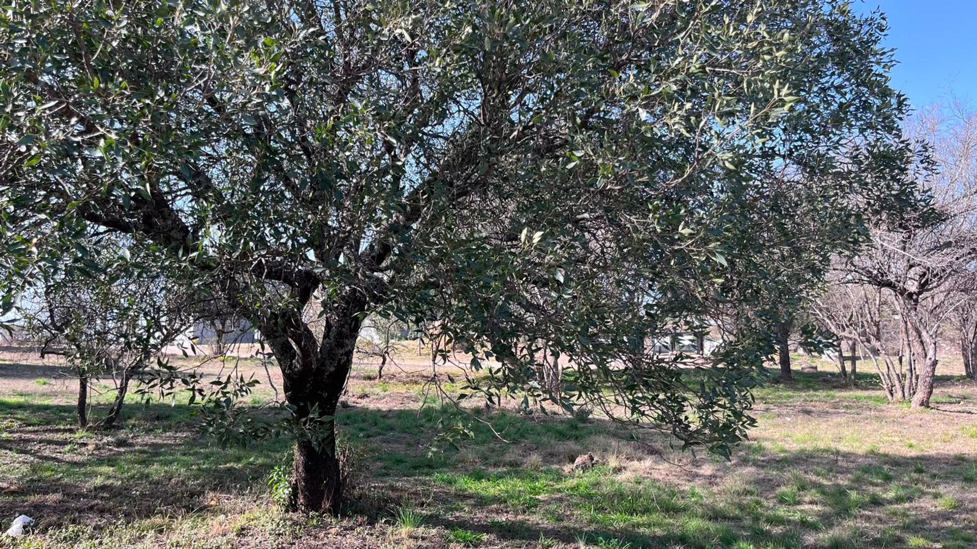 Lote en Venta en Punilla, Cordoba