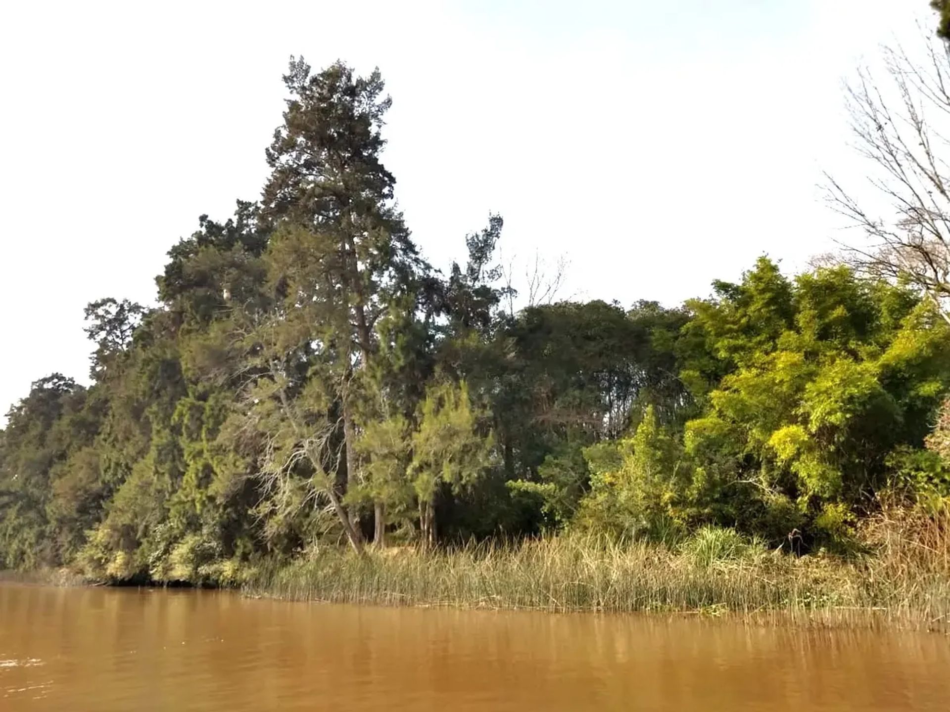Lote en Venta en San Fernando, G.B.A. Zona Norte