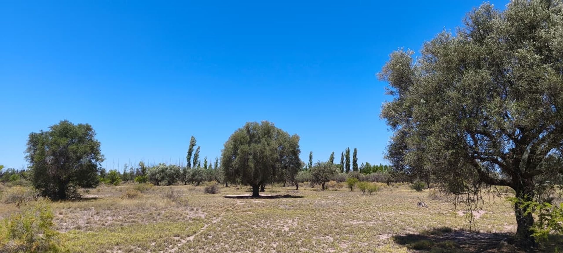 Casa Quinta en Venta en San Rafael, Mendoza