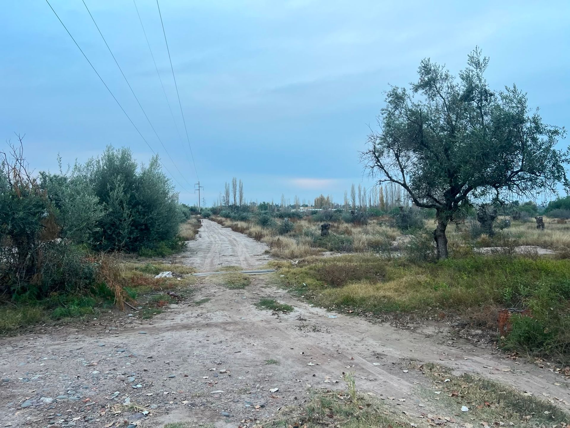 Lote en Venta en Maipu, Mendoza