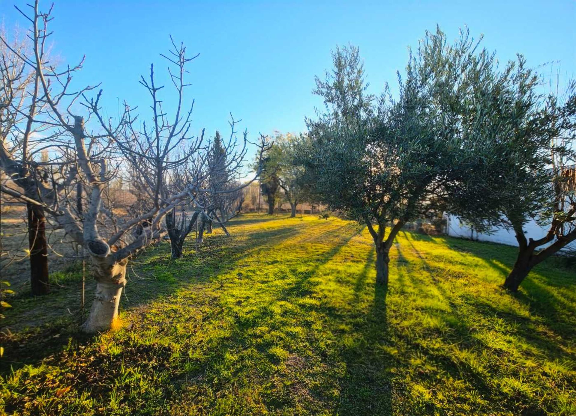 Casa en Venta en San Rafael, Mendoza