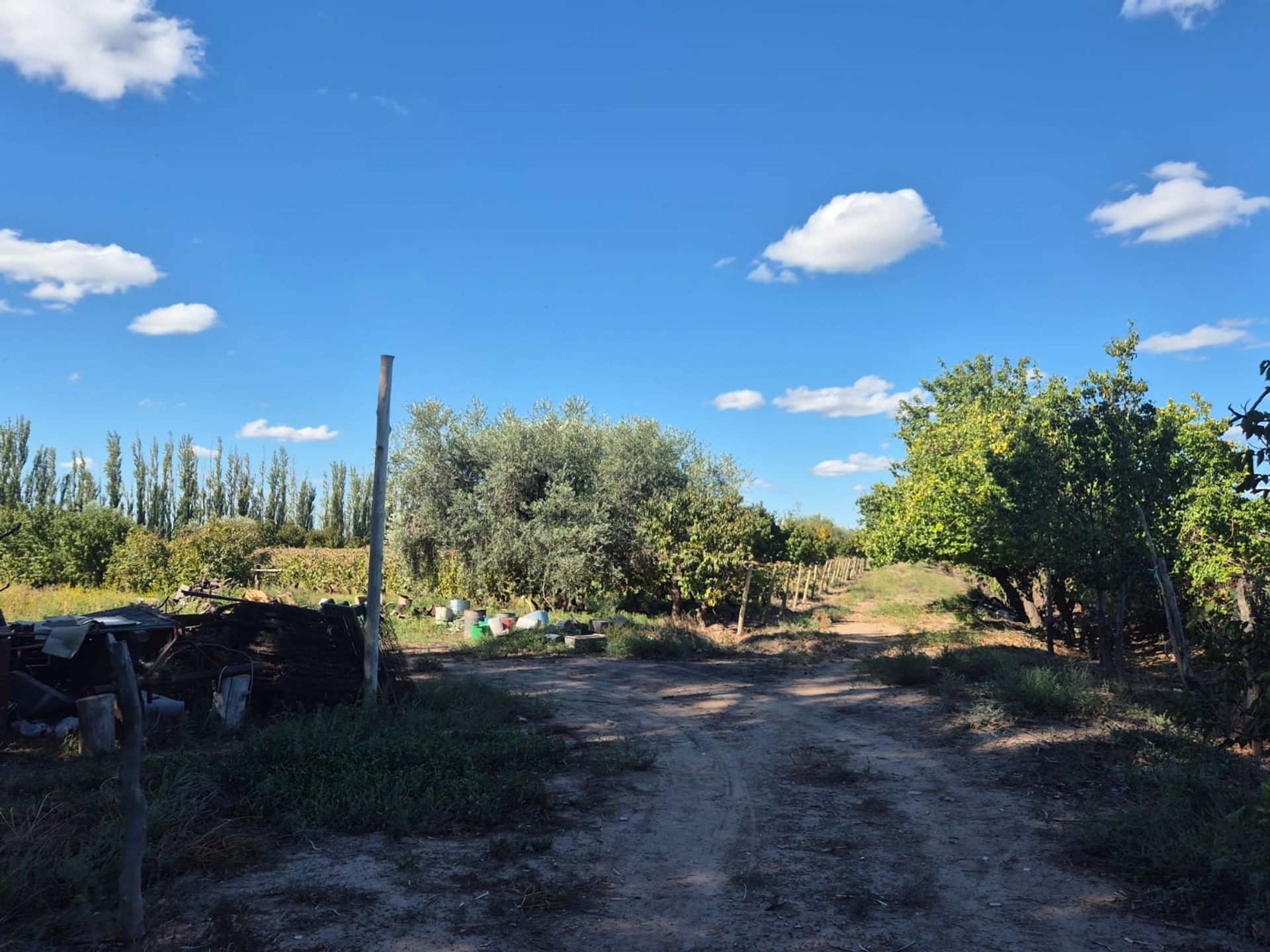 Campo en Venta en San Martin, Mendoza