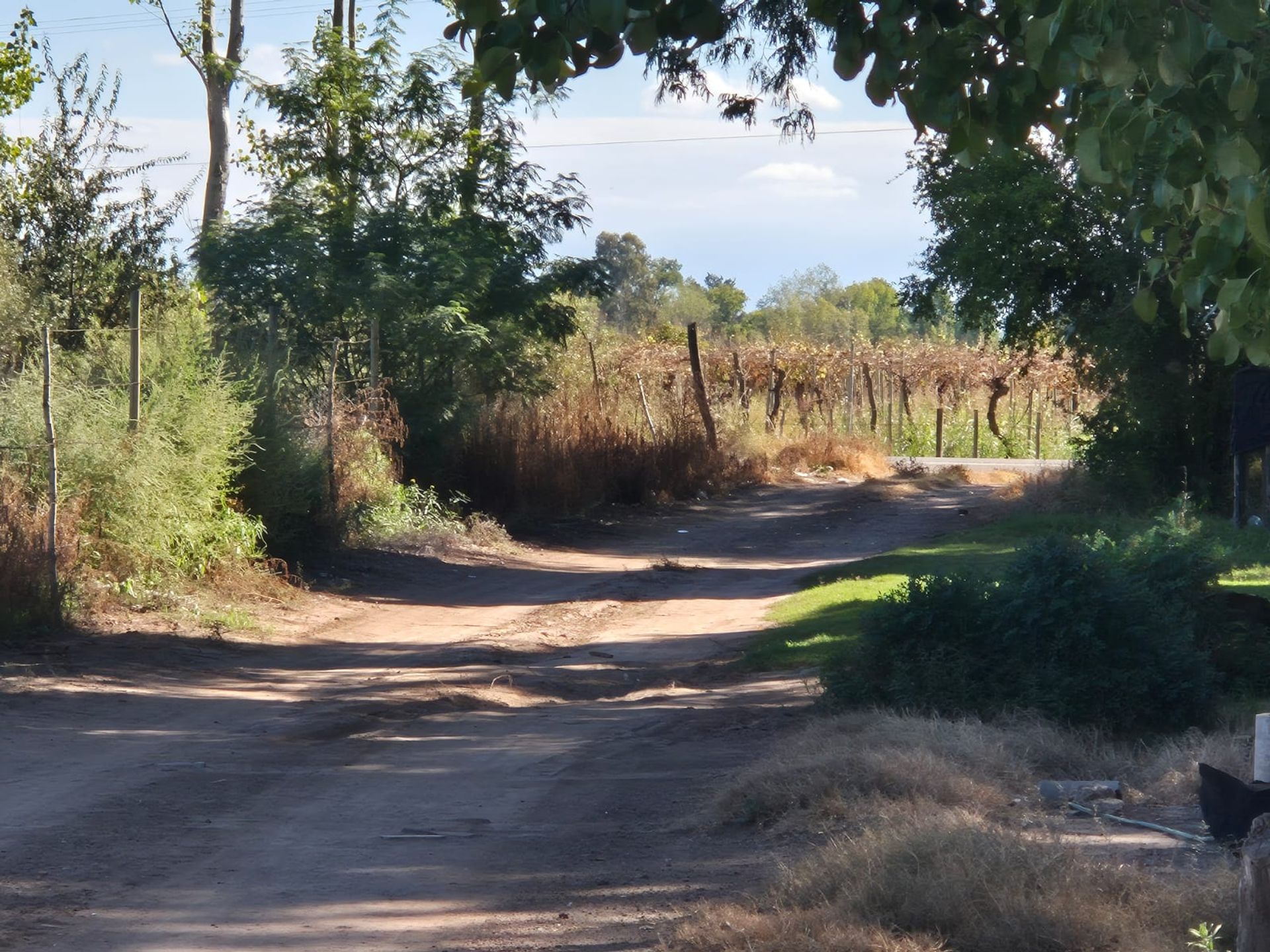 Campo en Venta en San Martin, Mendoza