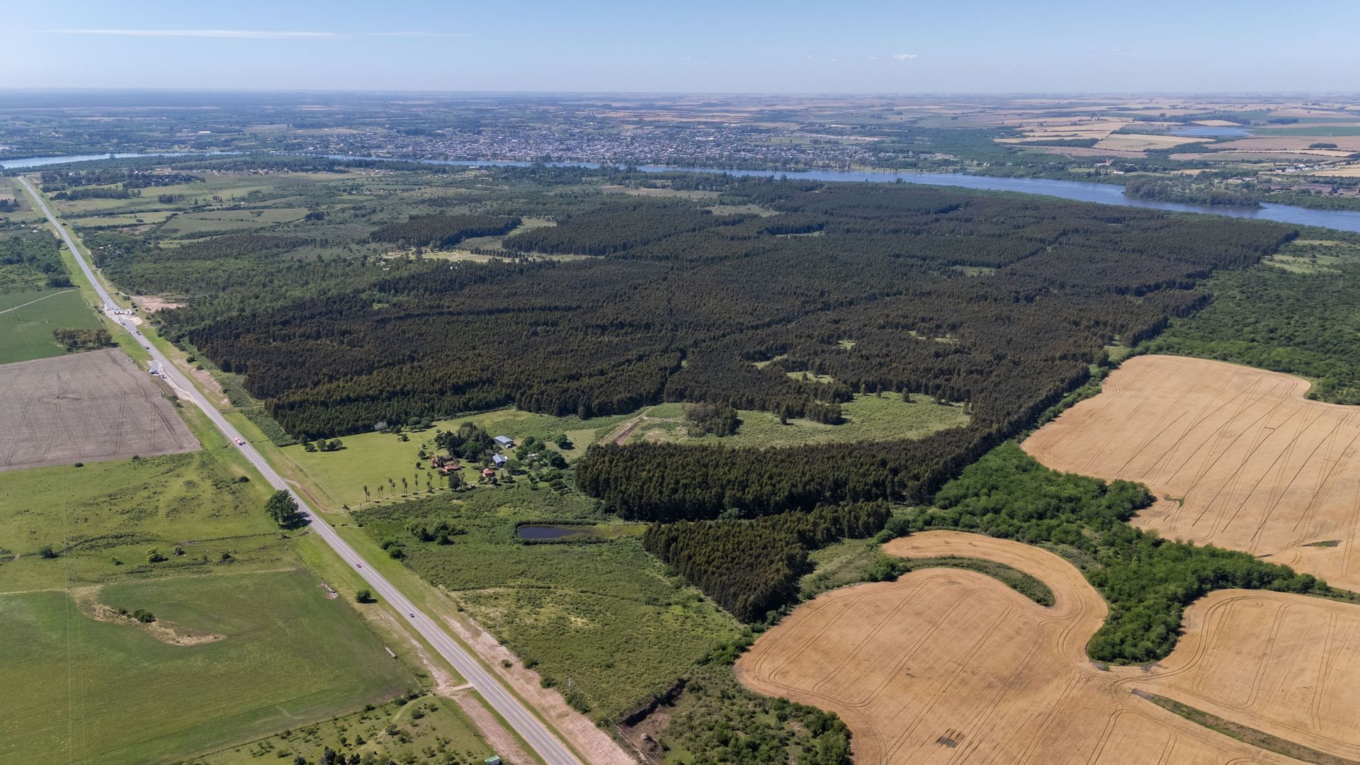 Venta Campo 60 Hectáreas Casco Y Galp. Fray Bentos - 15